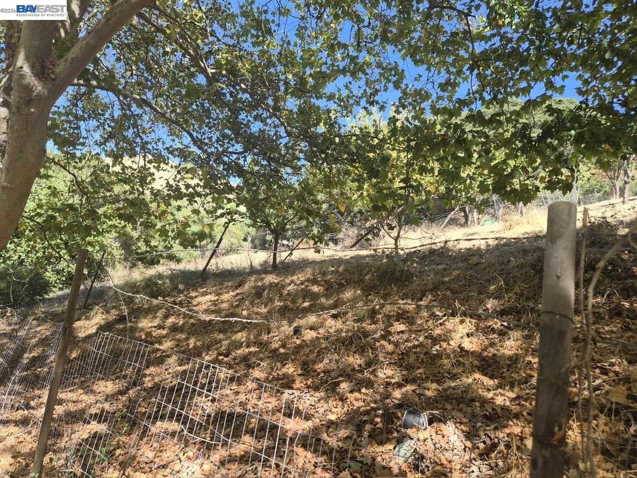0 Garin Ave, Hayward CA 94544 — photo 7