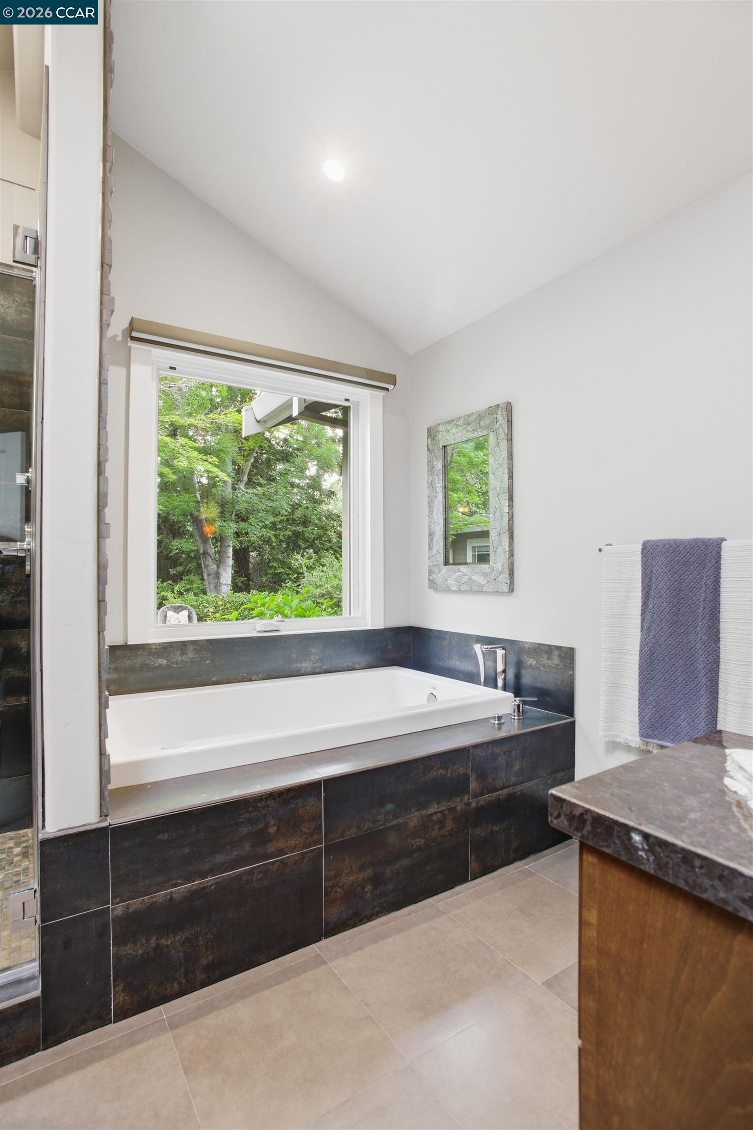 181 Alegra Ln, Walnut Creek CA 94598 — photo 25