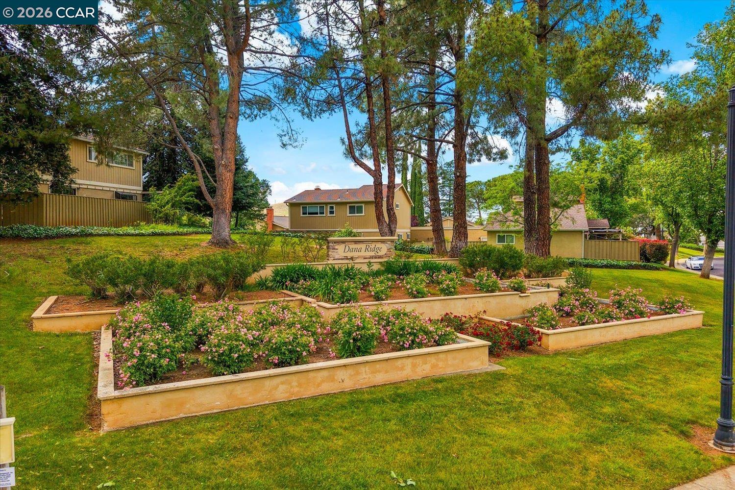 599 Mt Dell Dr, Clayton CA 94517 — photo 49