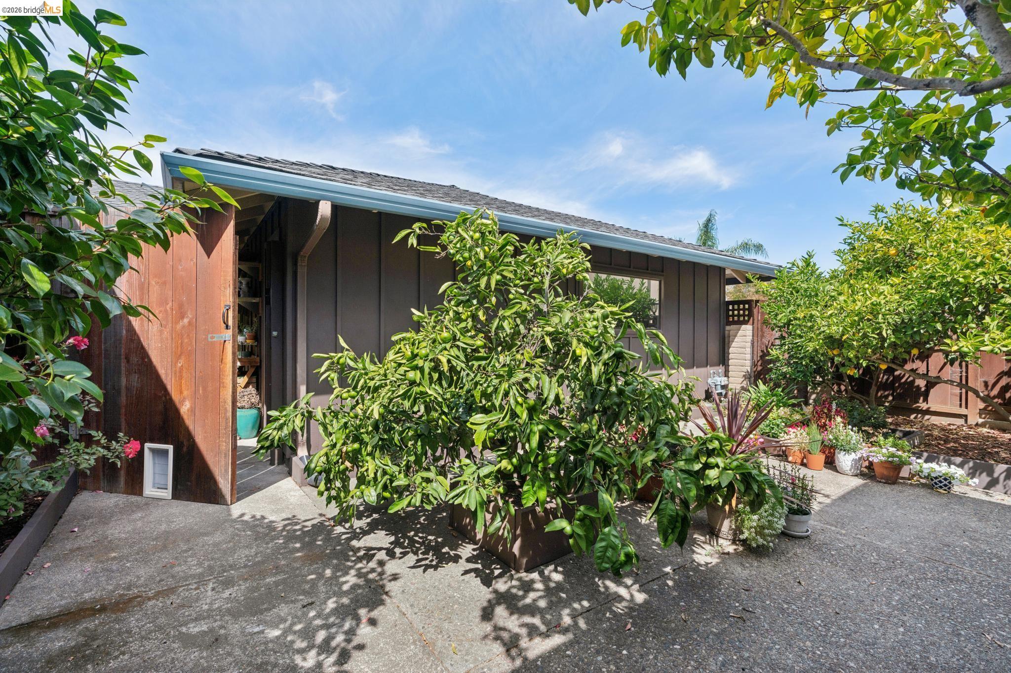 904 View Drive, Richmond CA 94803 — photo 5
