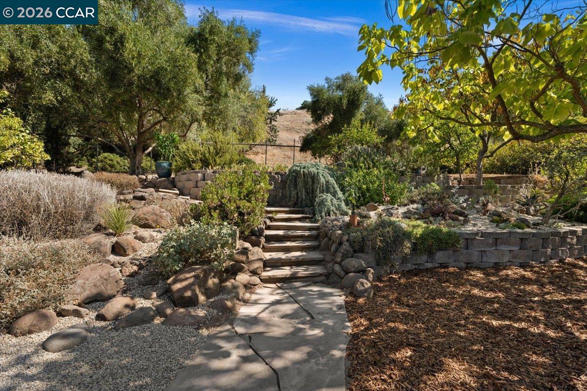 418 Marshall Drive, Walnut Creek CA 94598 — photo 48