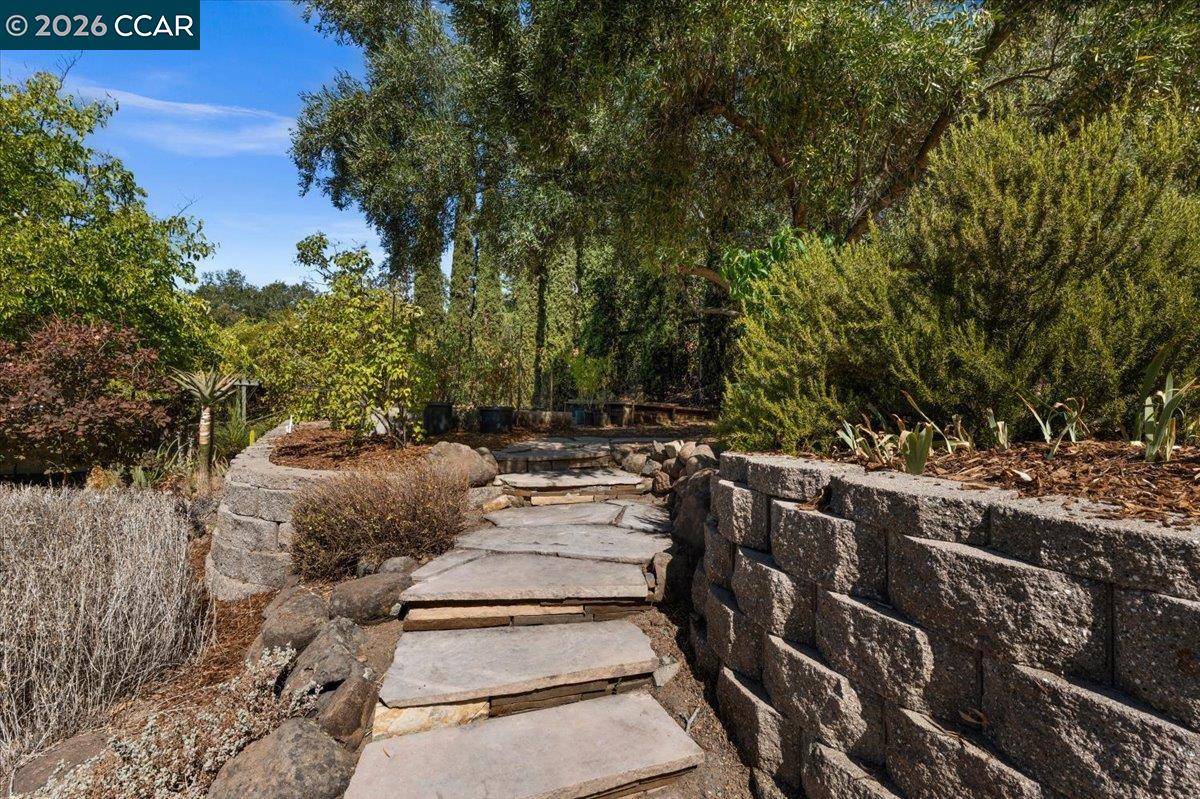 418 Marshall Drive, Walnut Creek CA 94598 — photo 49