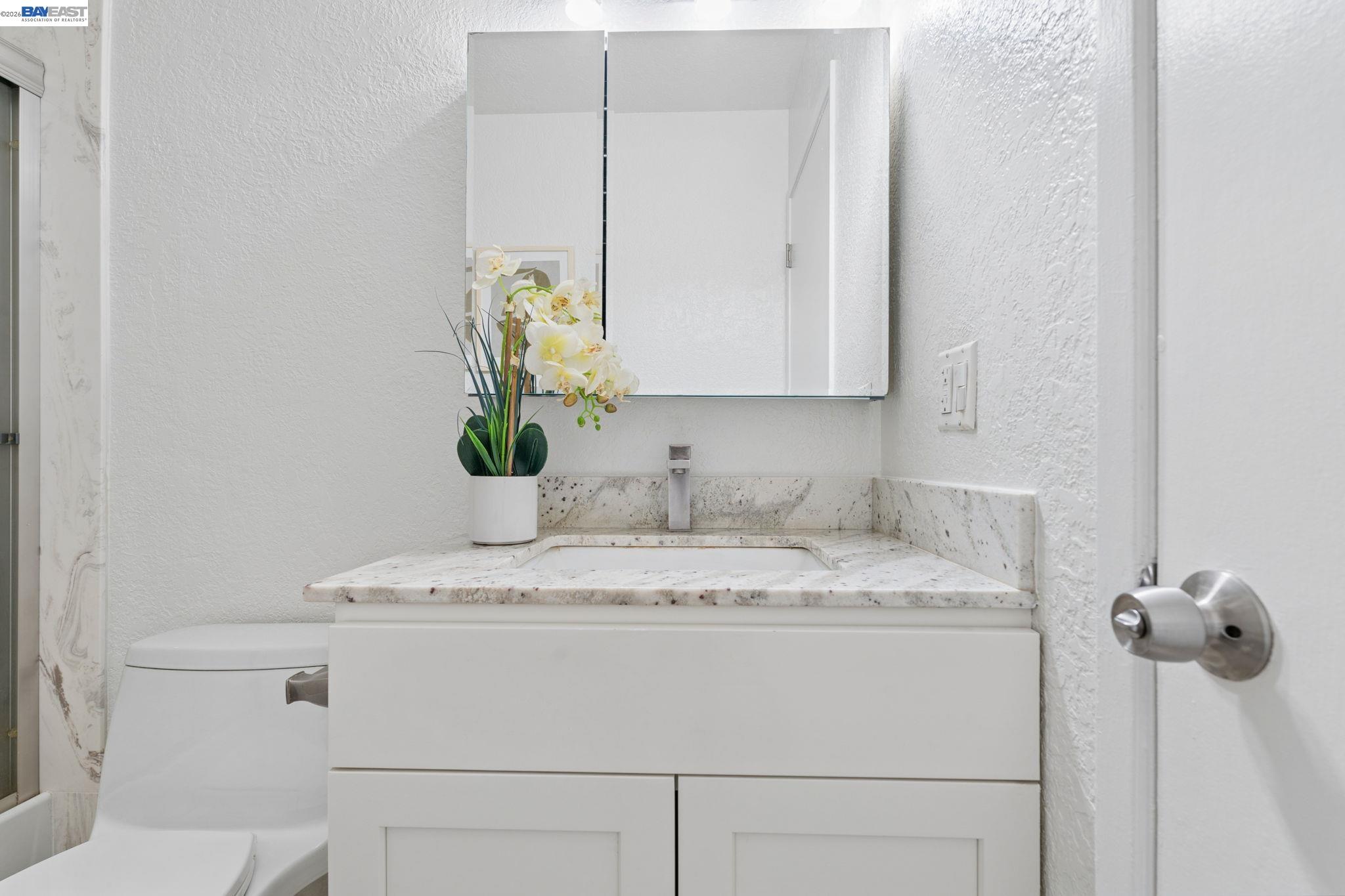 31261 Fredi St, Union City CA 94587 — photo 37