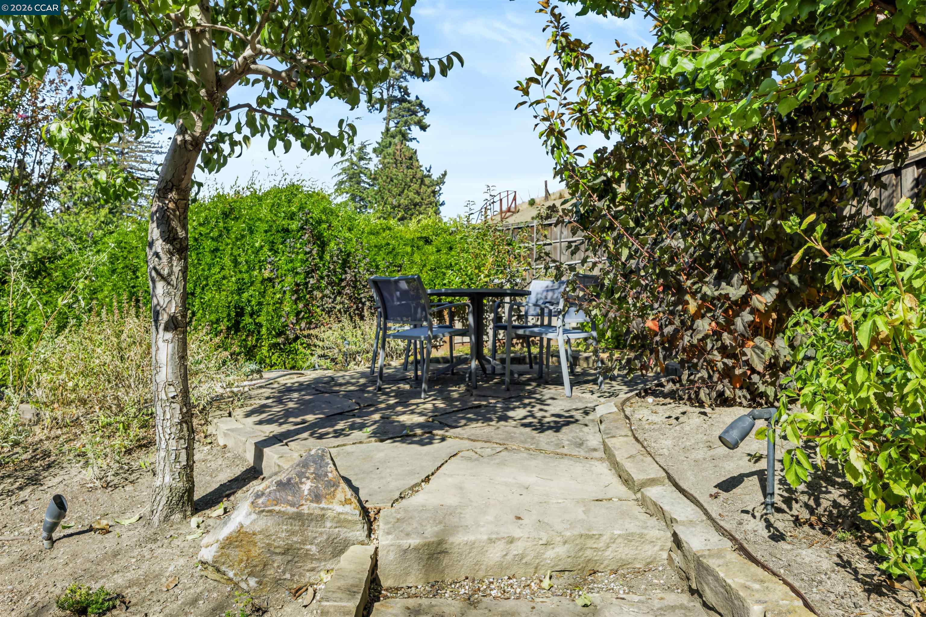 3237 Driftwood Dr, Lafayette CA 94549 — photo 29