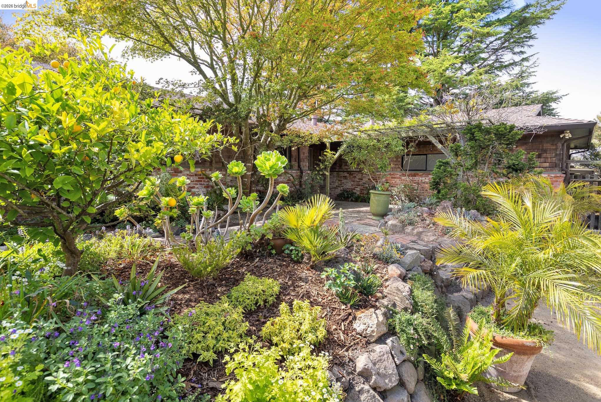 22 Kensington Ct, Kensington CA 94707 — photo 44