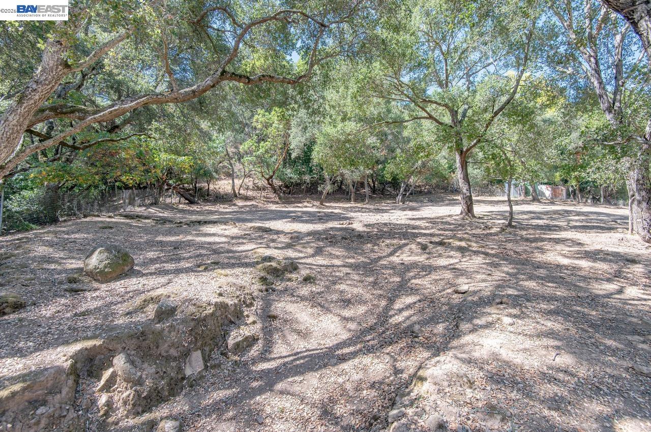 35575 Palomares Rd, Castro Valley CA 94552 — photo 62