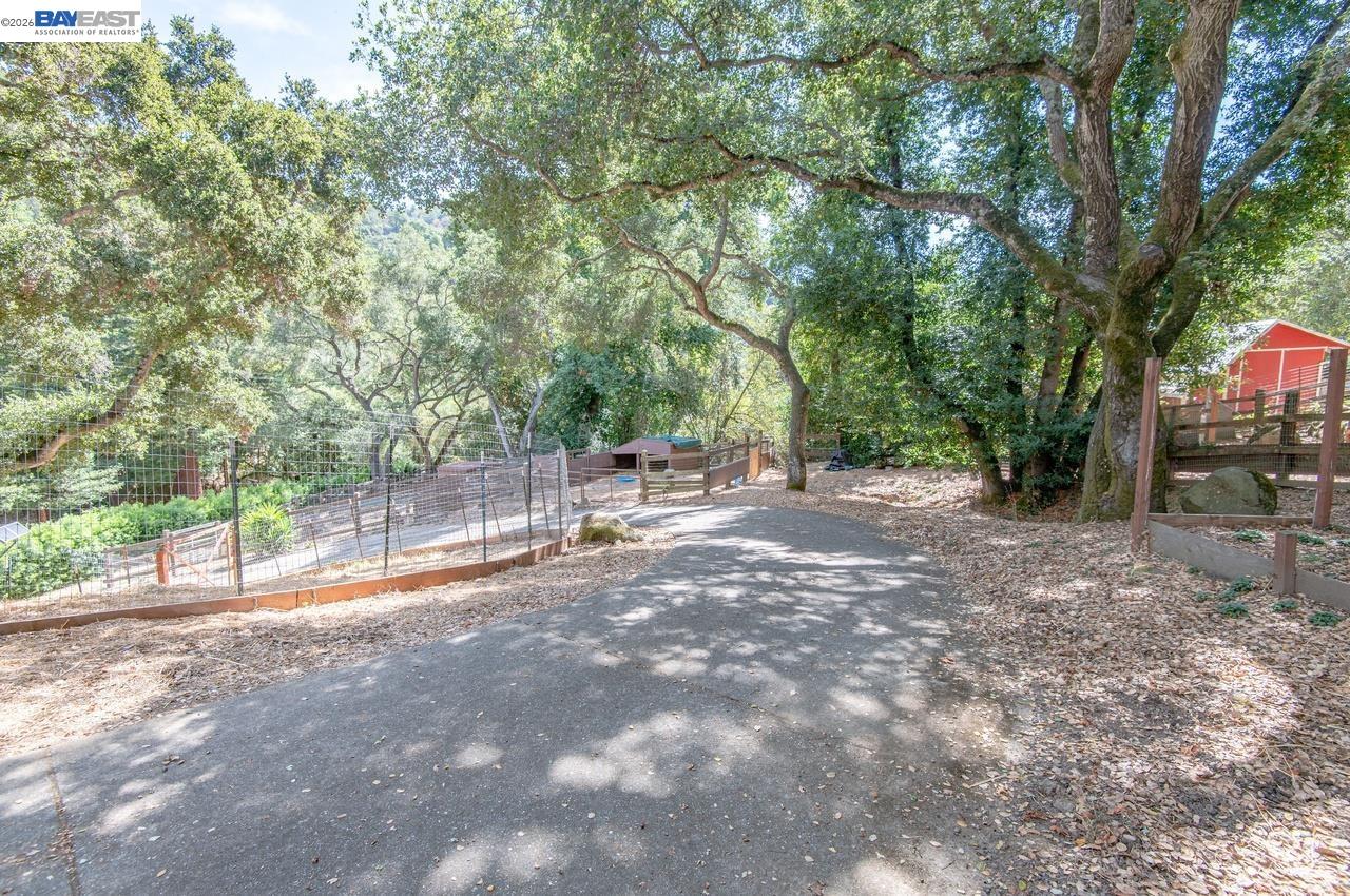 35575 Palomares Rd, Castro Valley CA 94552 — photo 69