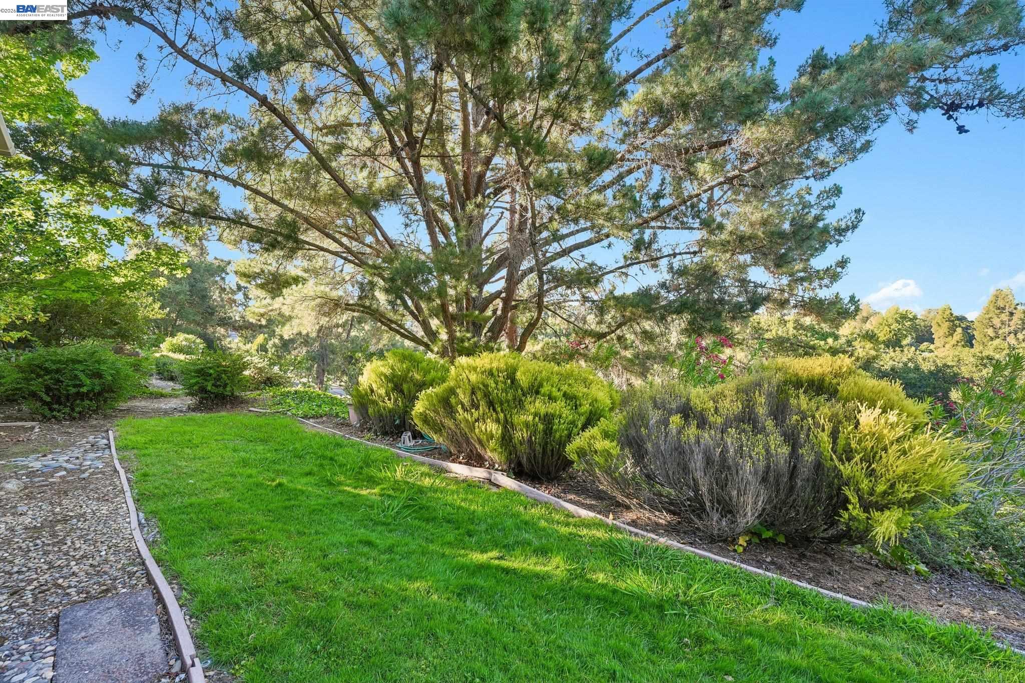 2749 Pine Knoll Drive # 2, Walnut Creek CA 94595 — photo 47
