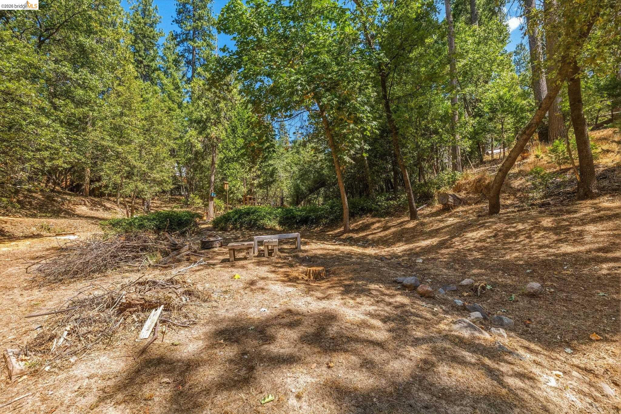 18814 Manzanita Dr, Twain Harte CA 95383 — photo 28