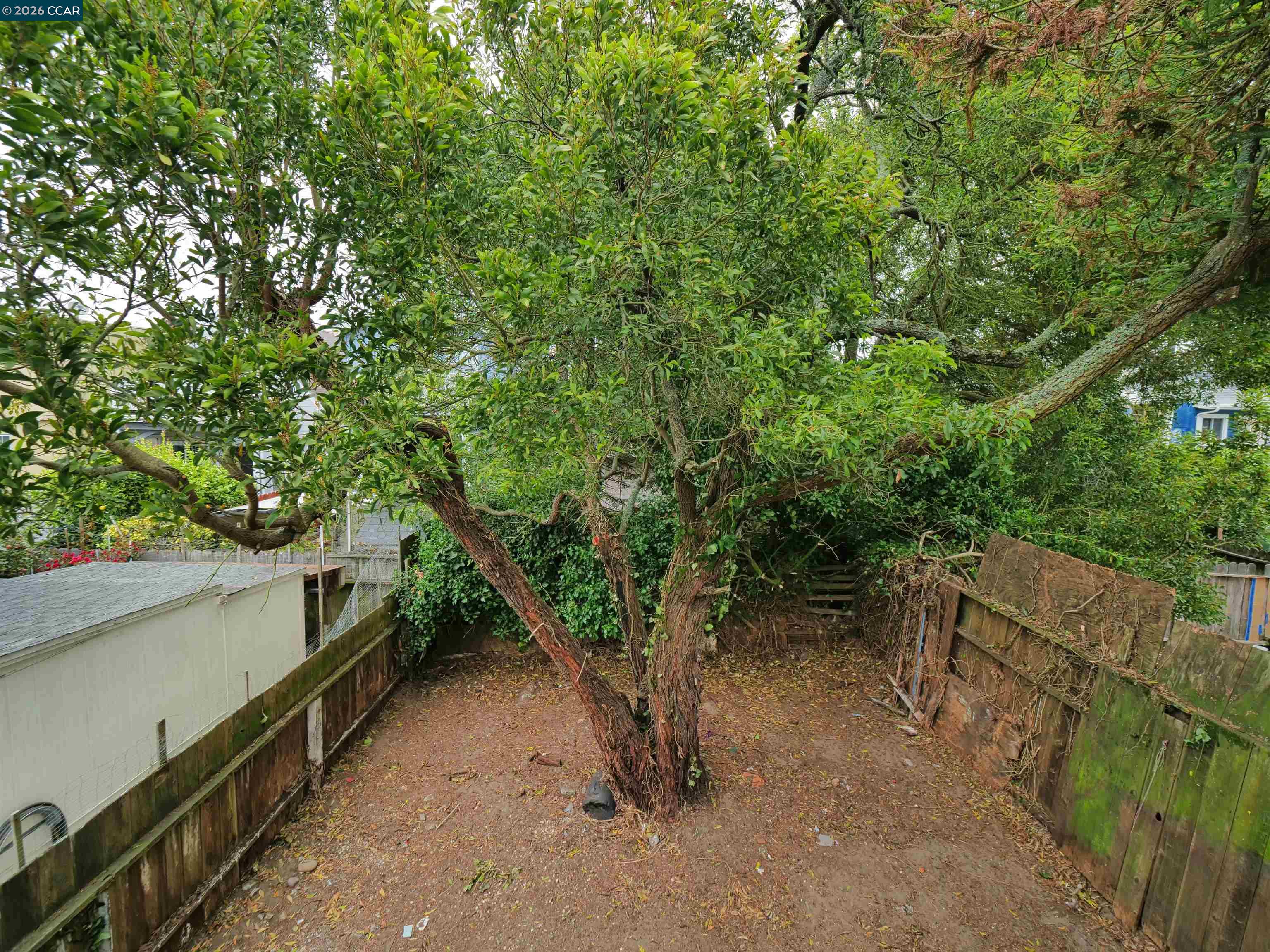 70 Liebig Street, San Francisco CA 94112 — photo 45