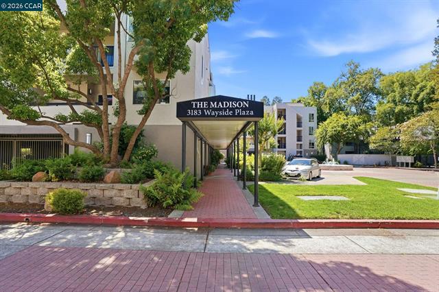 3183 Wayside Plz #217, Walnut Creek