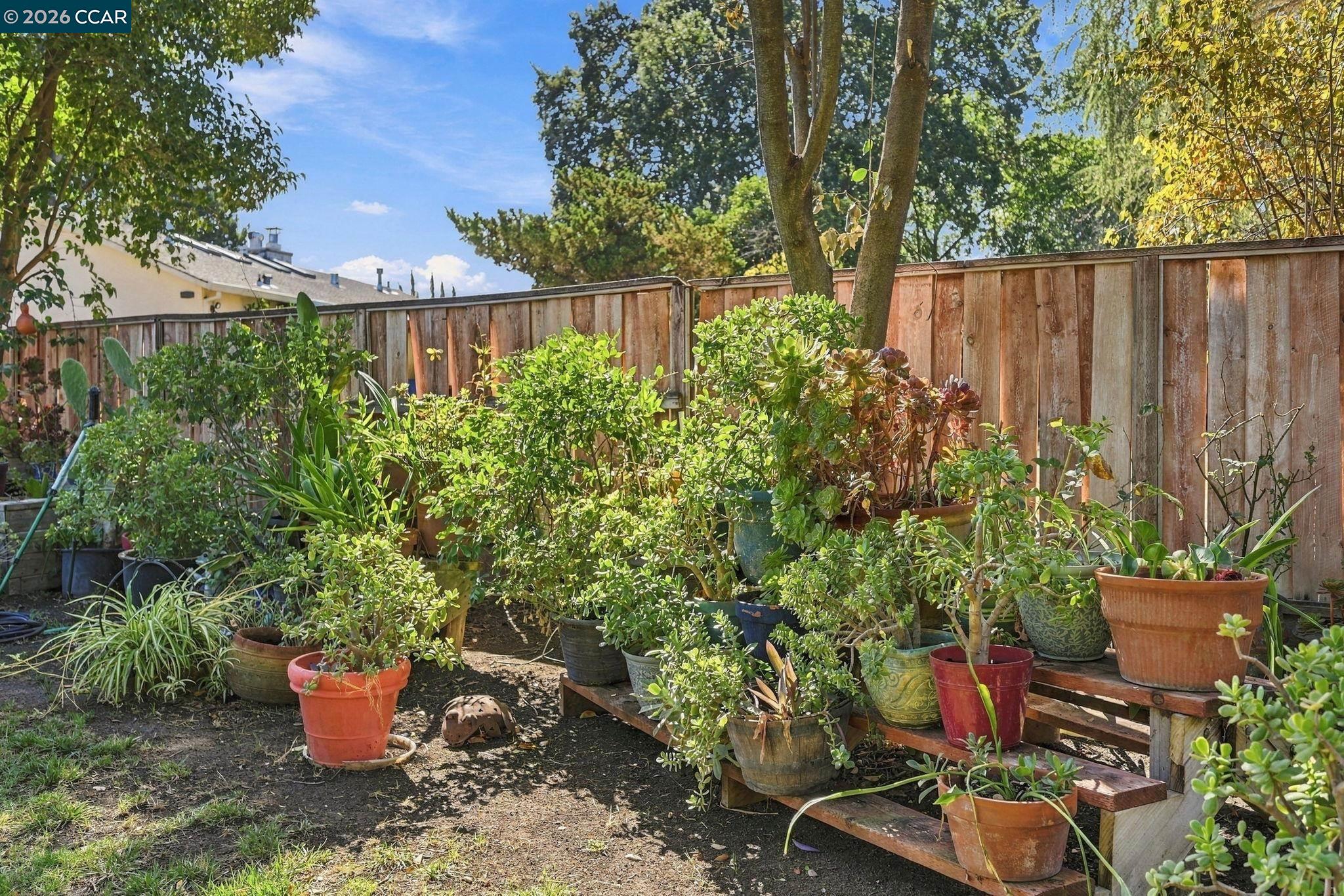 1211 Orange St, Concord CA 94518 — photo 23