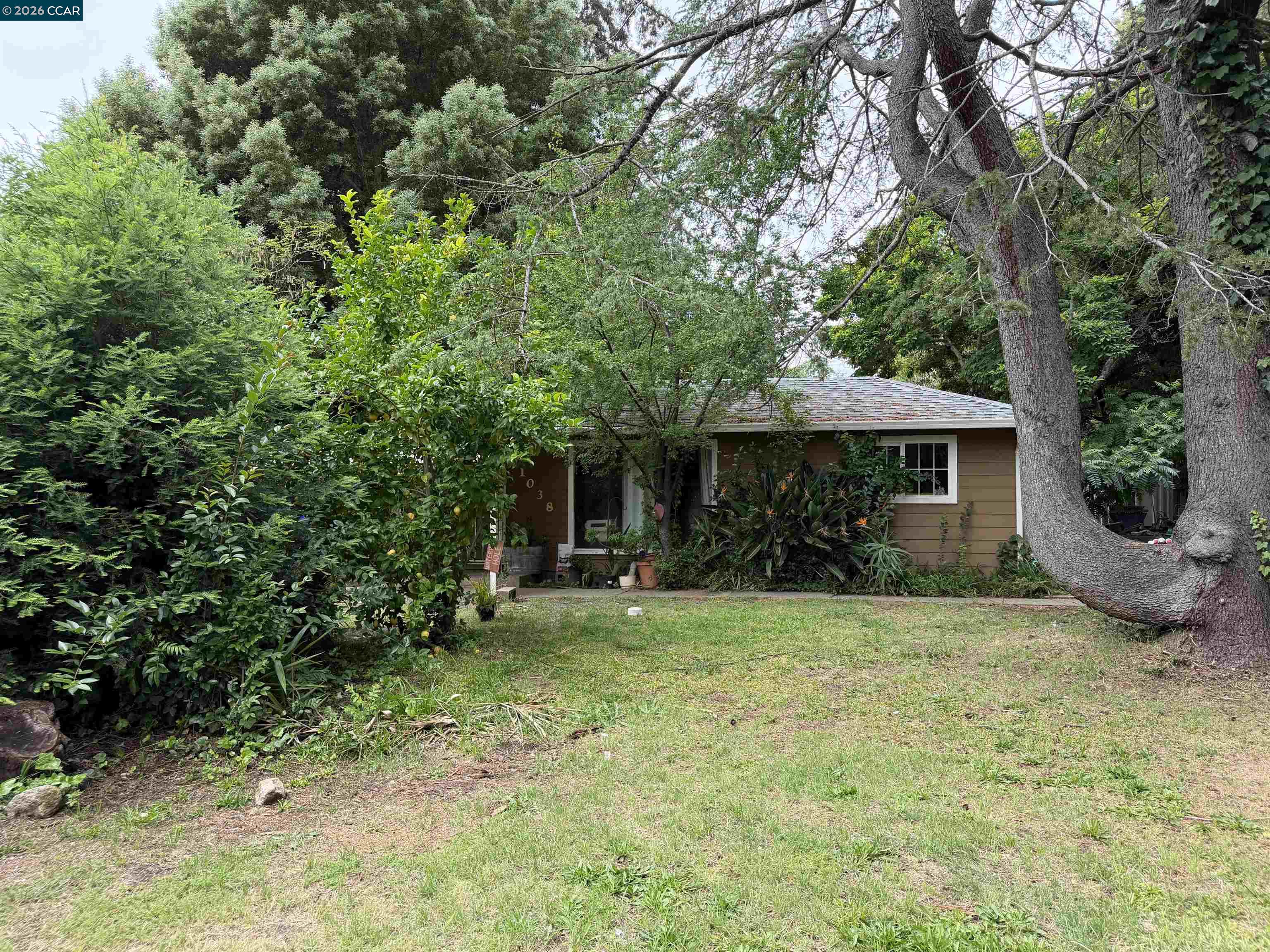 1038 Johnston St, Napa CA 94558 — photo 4
