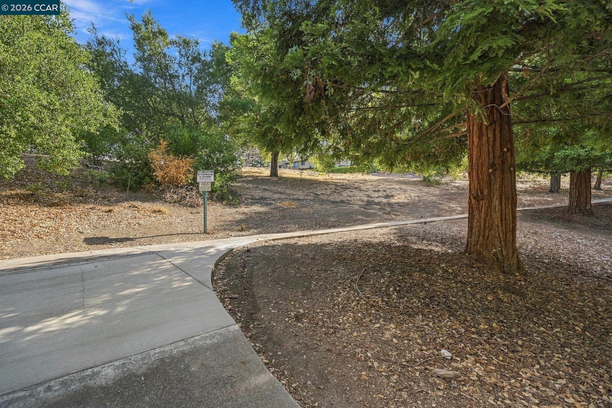 220 Promenade Ln, Danville CA 94506 — photo 48