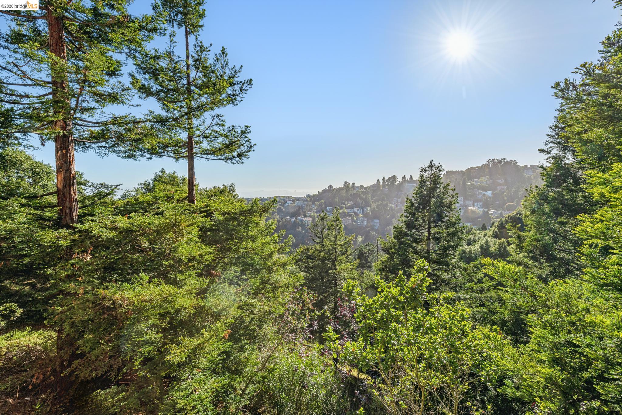 35 Bay Forest Ct, Oakland CA 94611 — photo 59