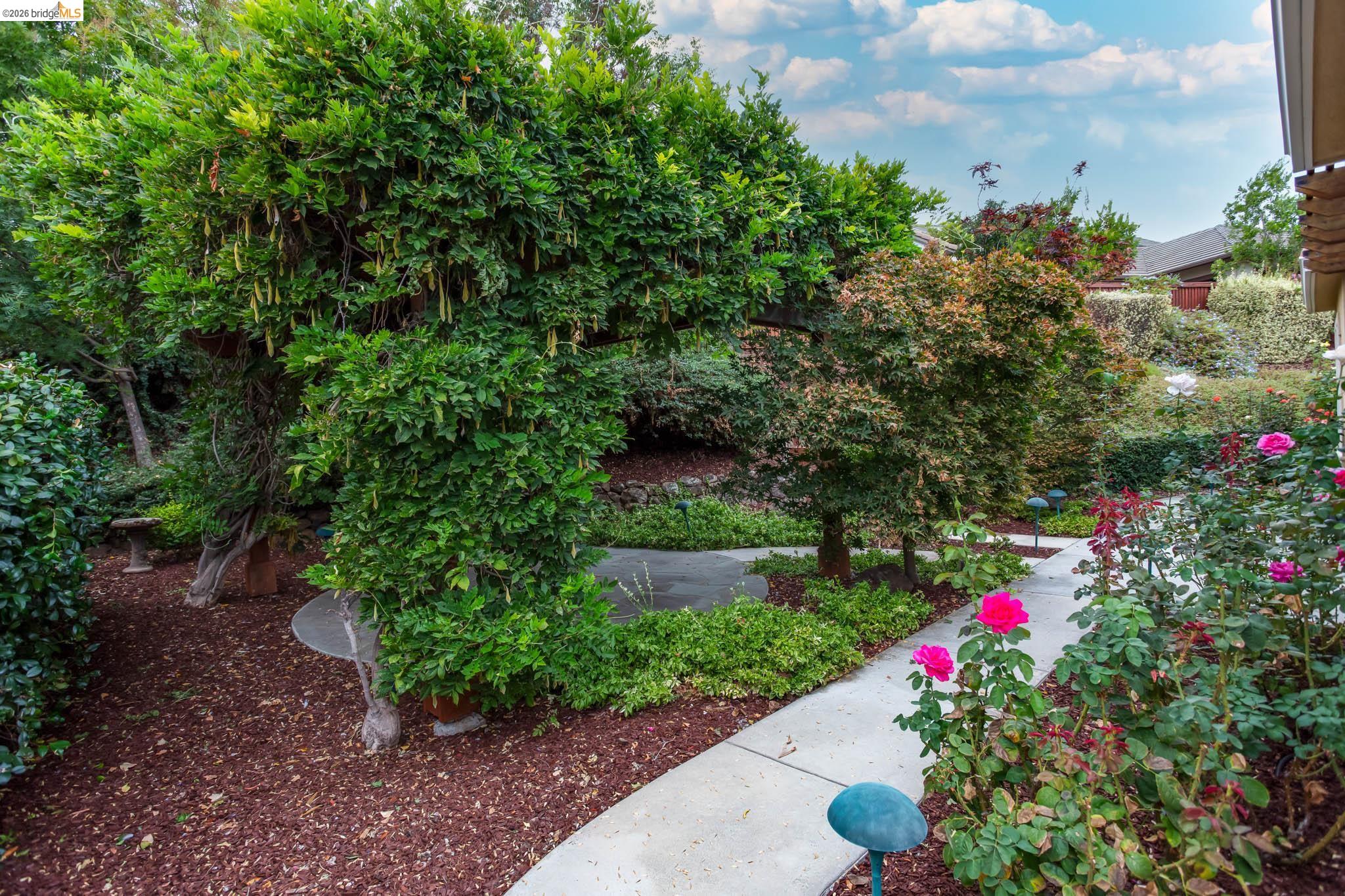 1770 Merlot Cir, Brentwood CA 94513 — photo 42