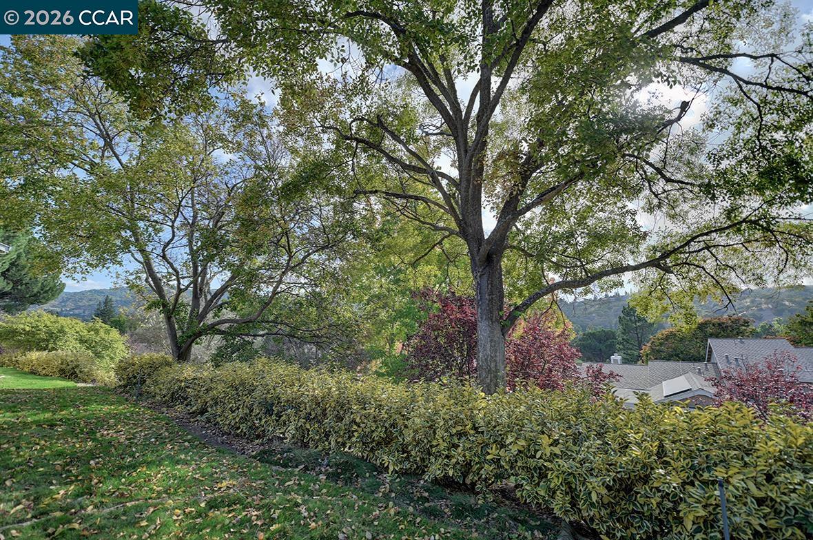 925 Terra California Dr # 2, Walnut Creek CA 94595 — photo 13