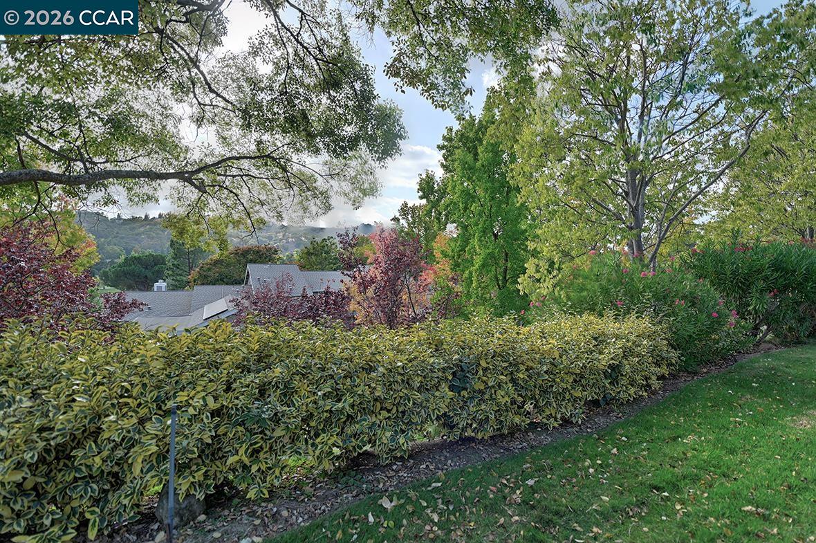 925 Terra California Dr # 2, Walnut Creek CA 94595 — photo 14