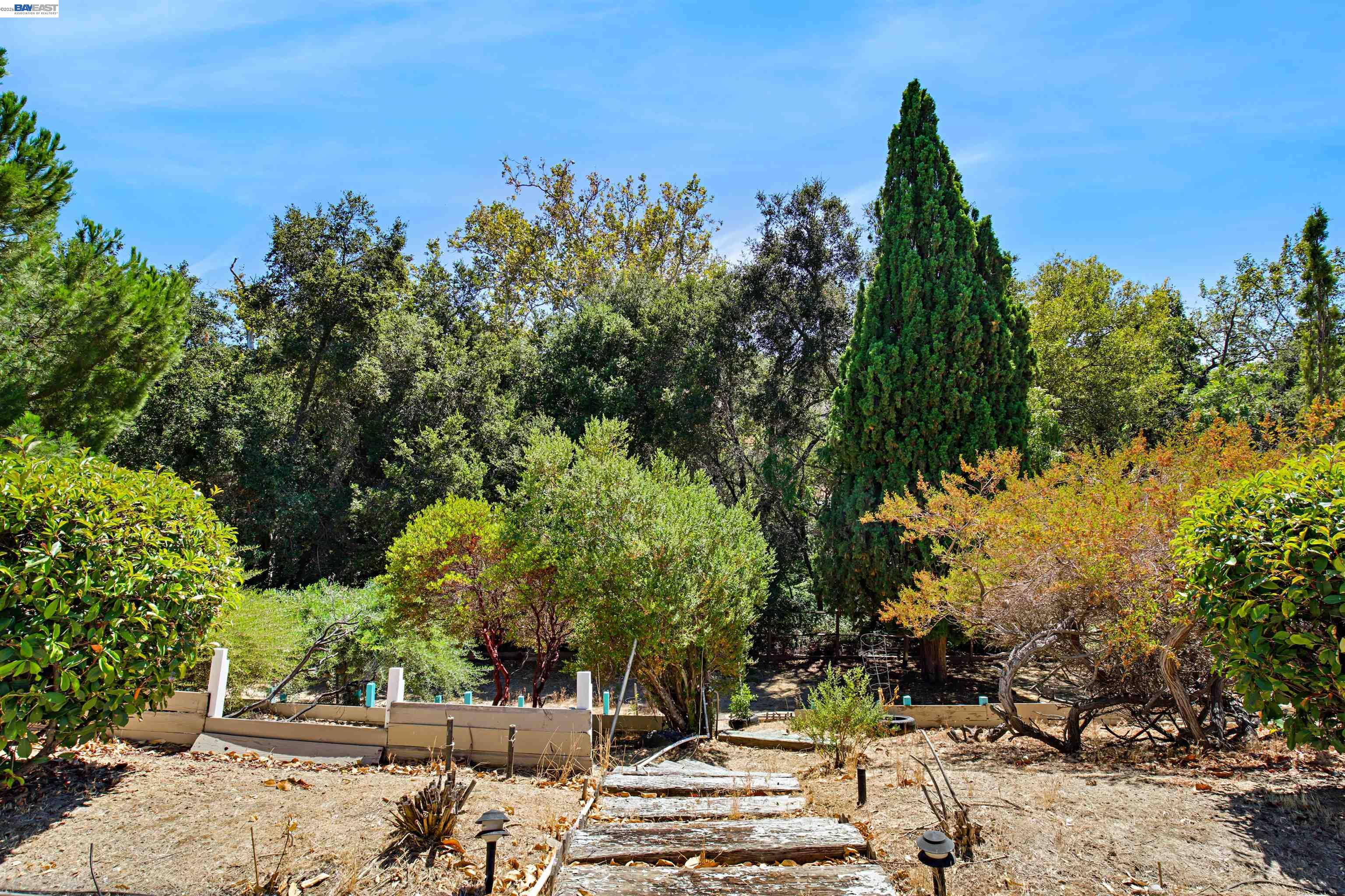 6299 Scenic Meadow Ln, San Jose CA 95135 — photo 16