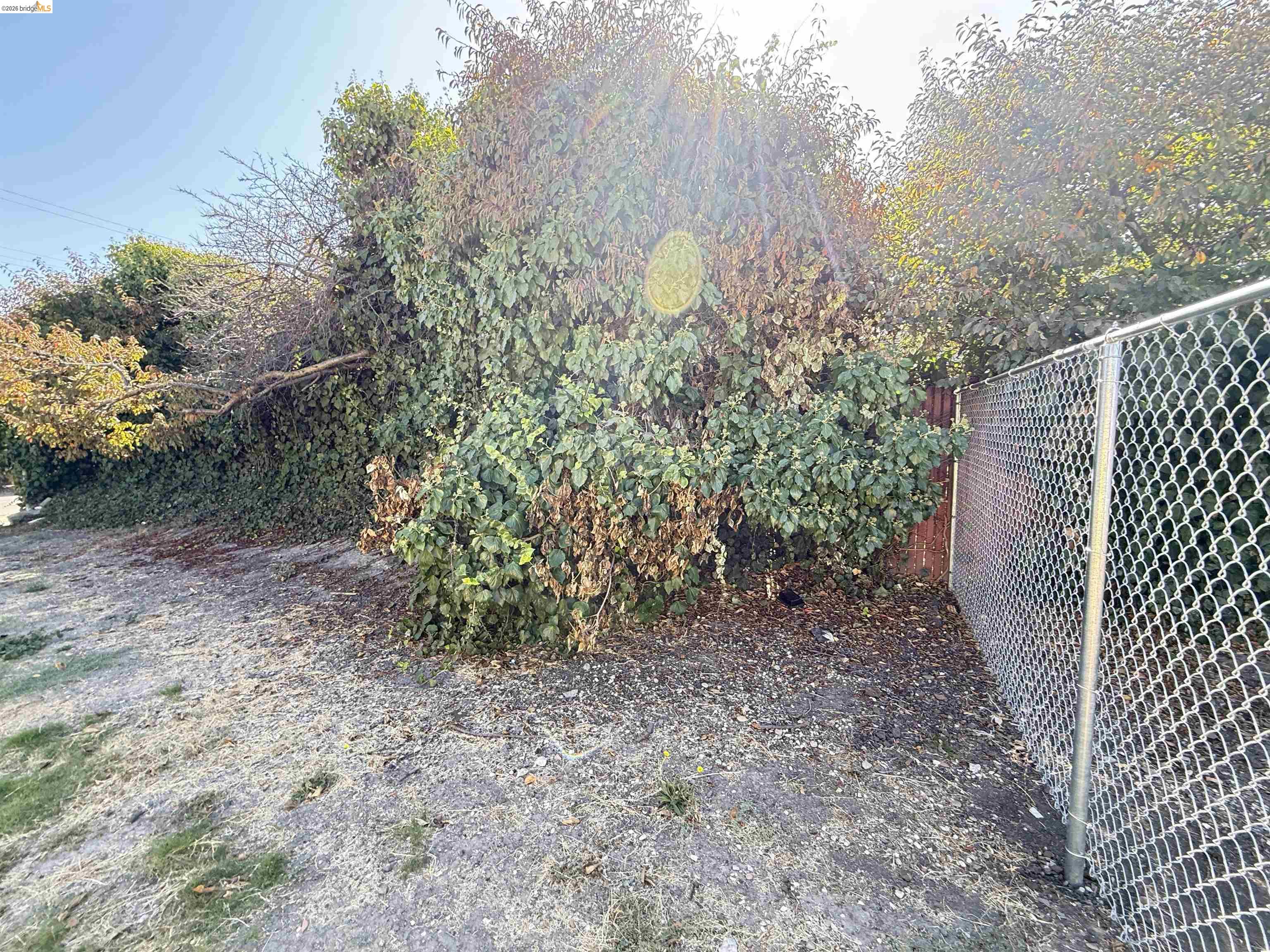 Olive St, Oakland CA 94603 — photo 4