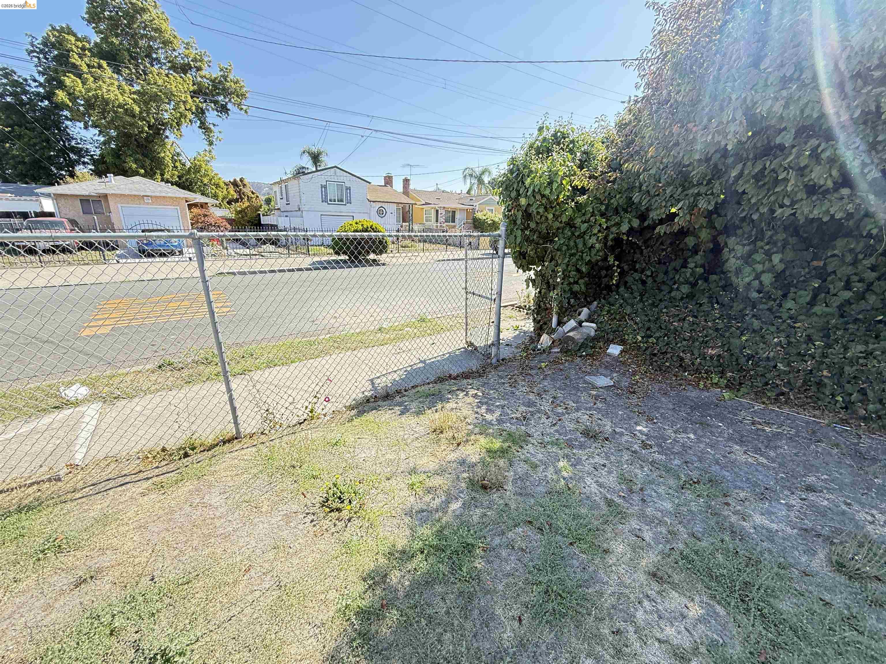 Olive St, Oakland CA 94603 — photo 6
