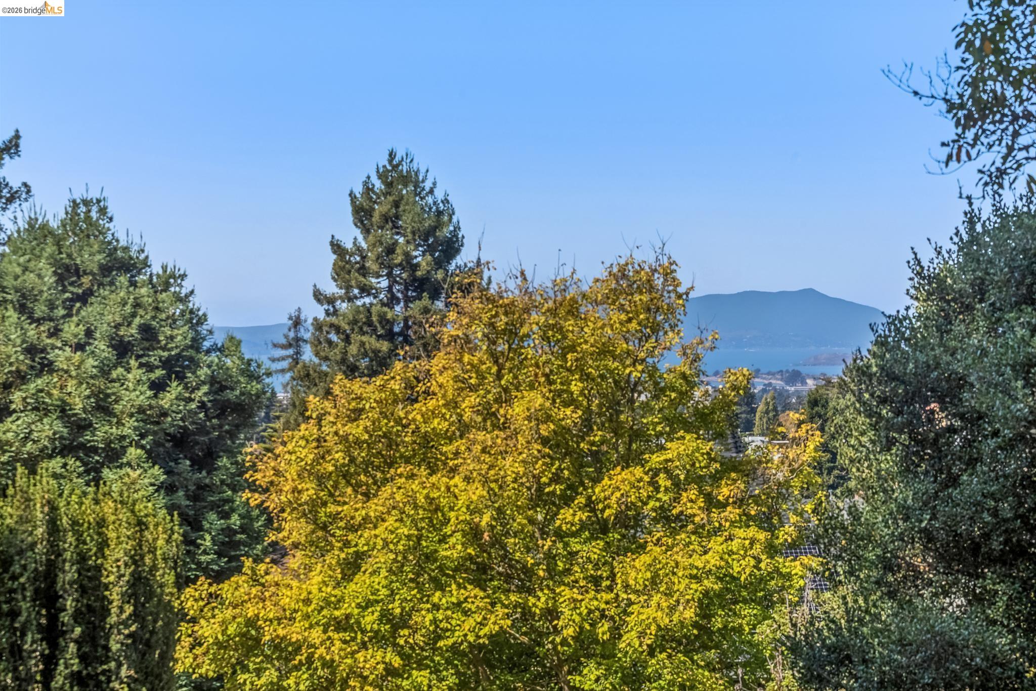 1466 Scenic Ave, Berkeley CA 94708 — photo 27