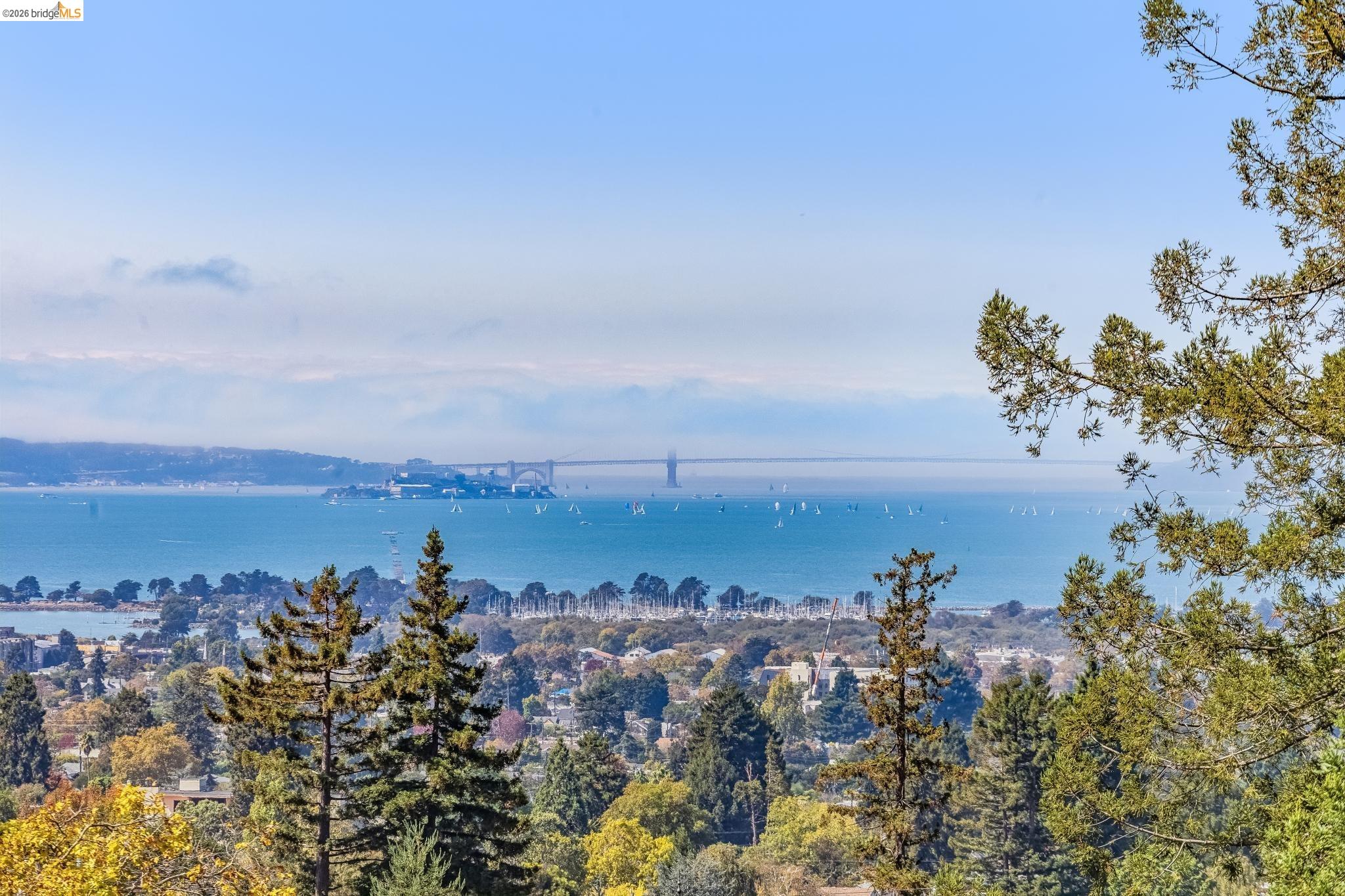 1466 Scenic Ave, Berkeley CA 94708 — photo 9