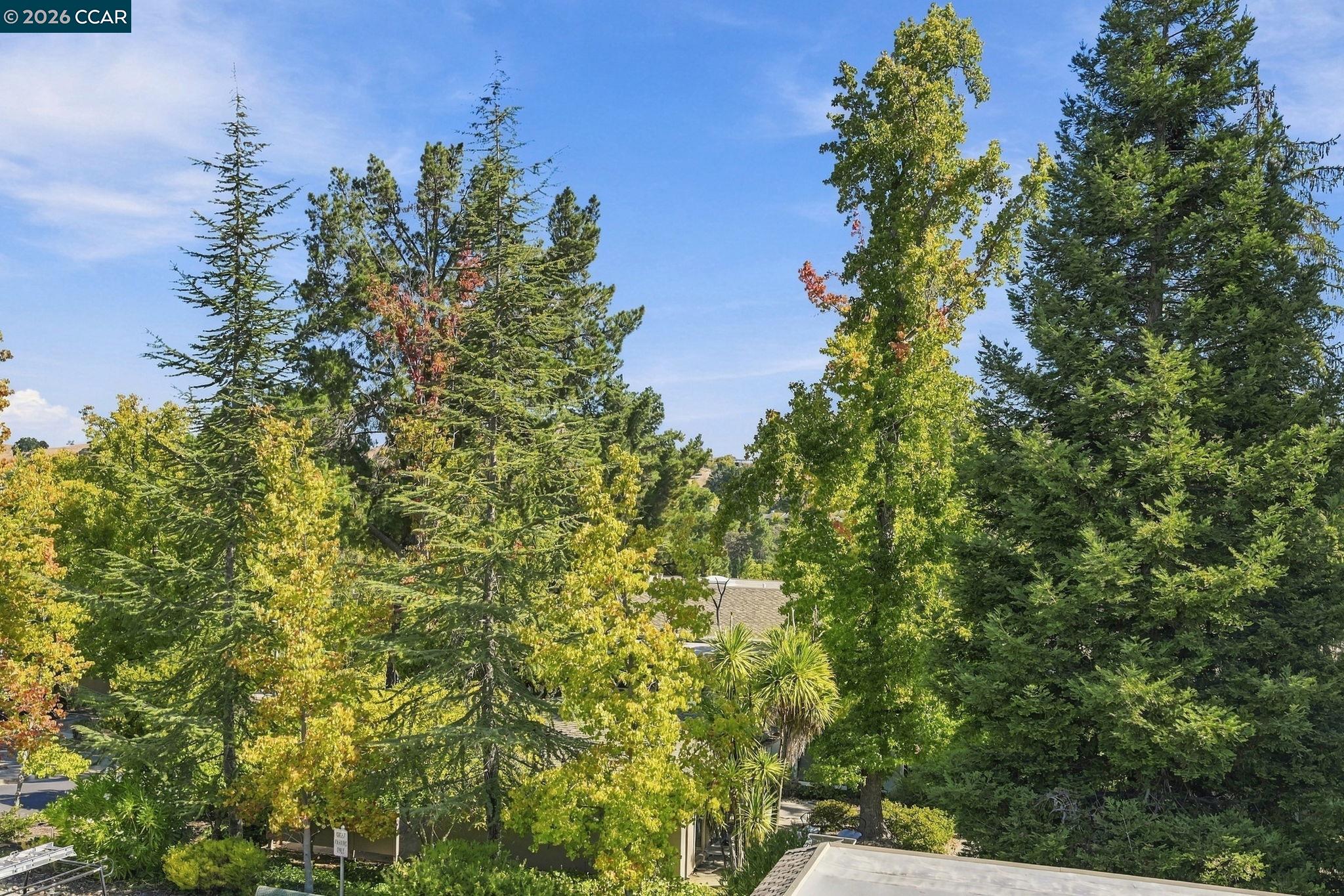 1209 Running Springs #5, Walnut Creek — 24