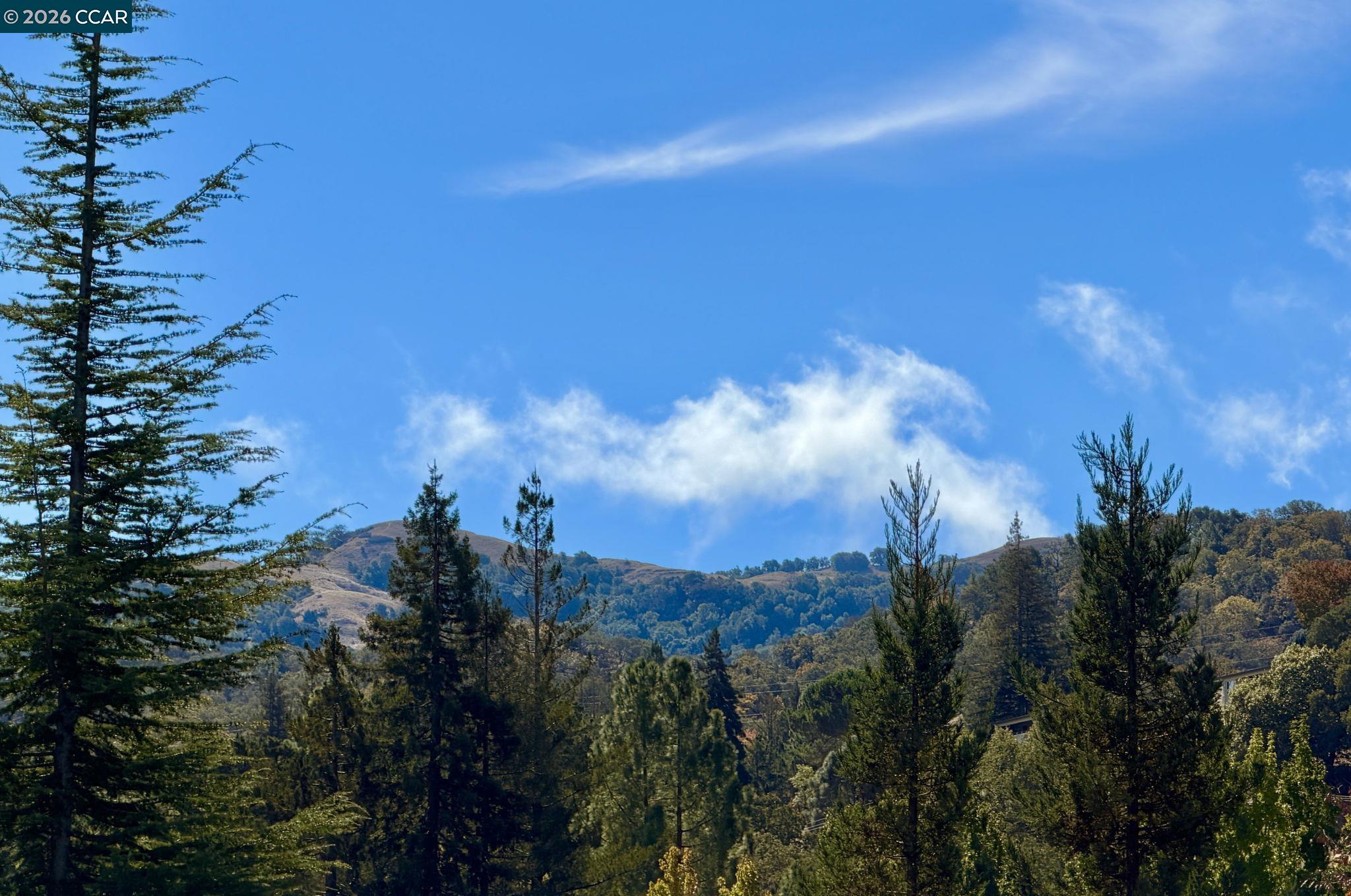 1209 Running Springs #5, Walnut Creek — 42
