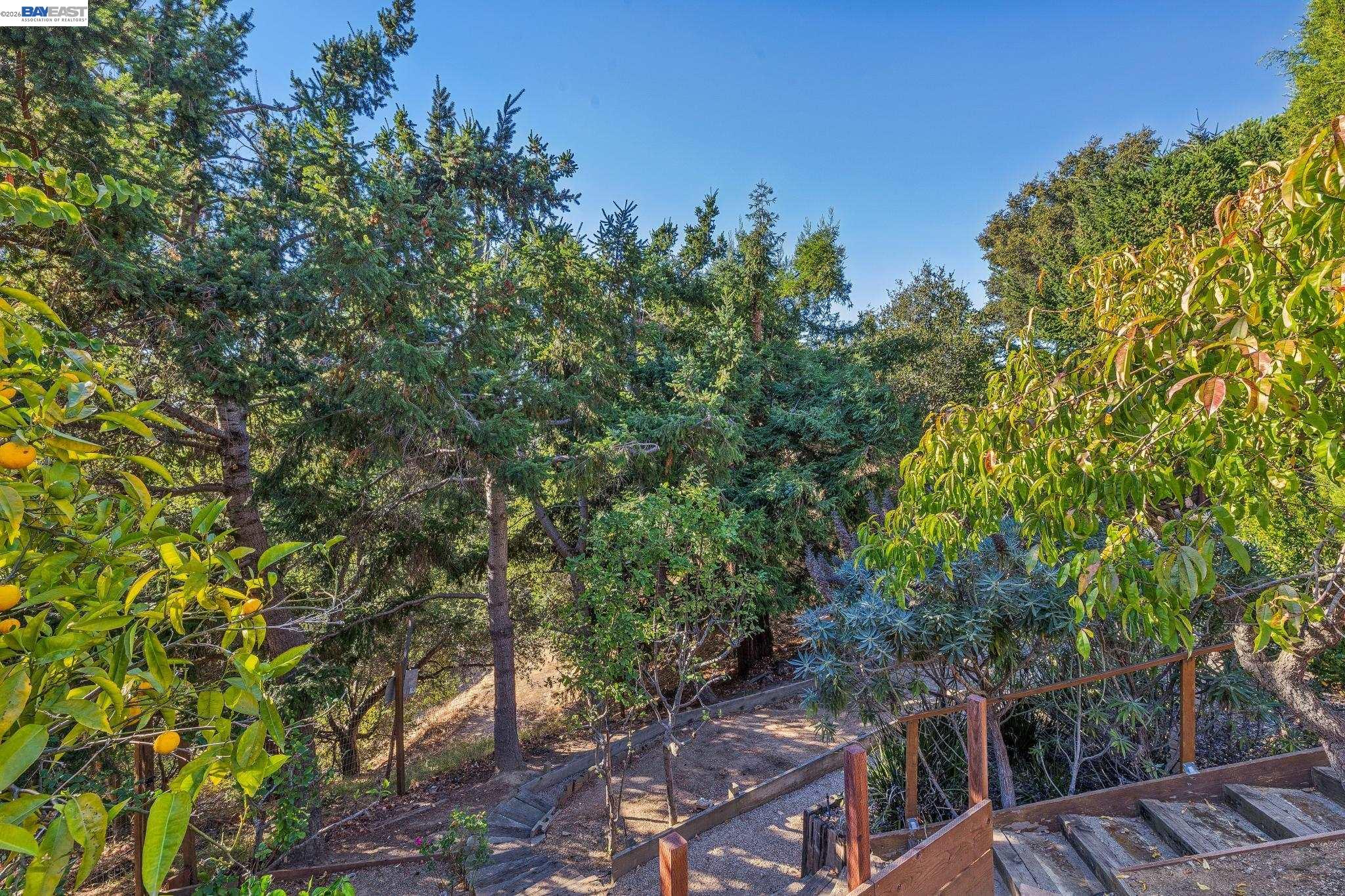 5624 Greenridge Rd, Castro Valley CA 94552 — photo 88