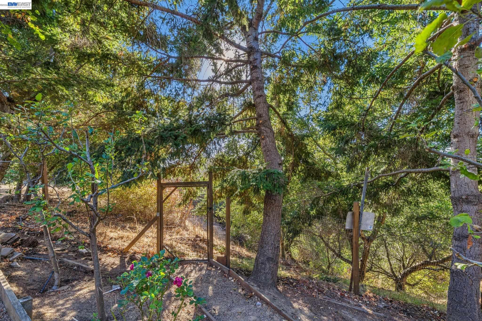 5624 Greenridge Rd, Castro Valley CA 94552 — photo 90
