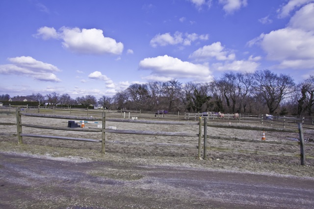 The deSatnick Real Estate Team