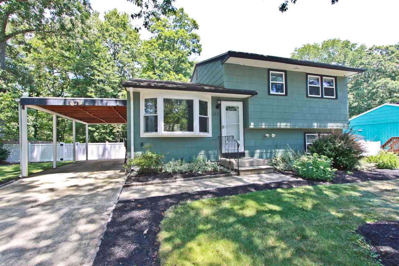 The deSatnick Real Estate Team