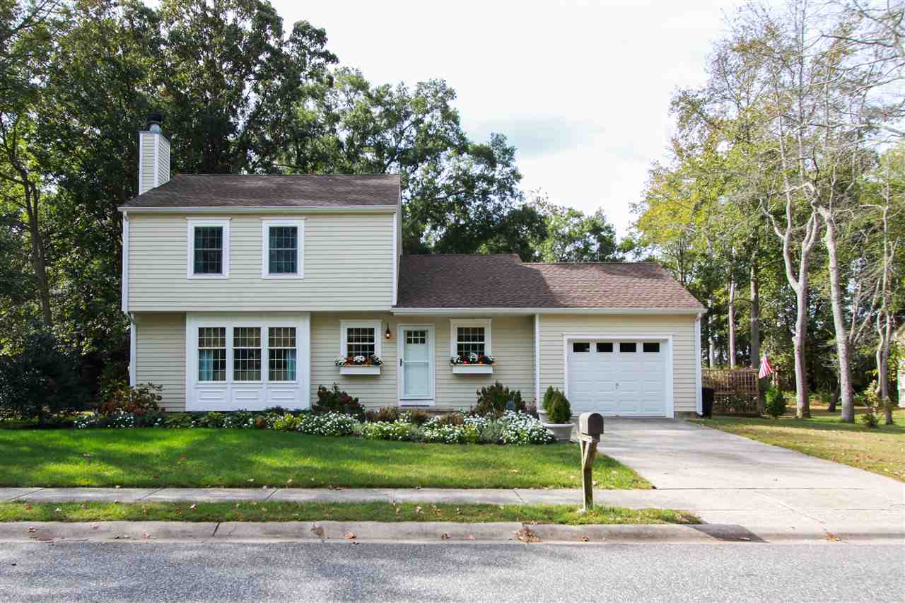 The deSatnick Real Estate Team