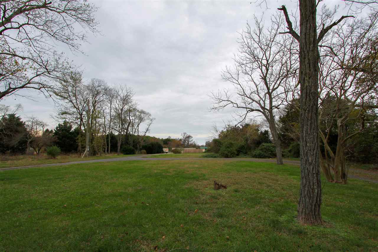 The deSatnick Real Estate Team