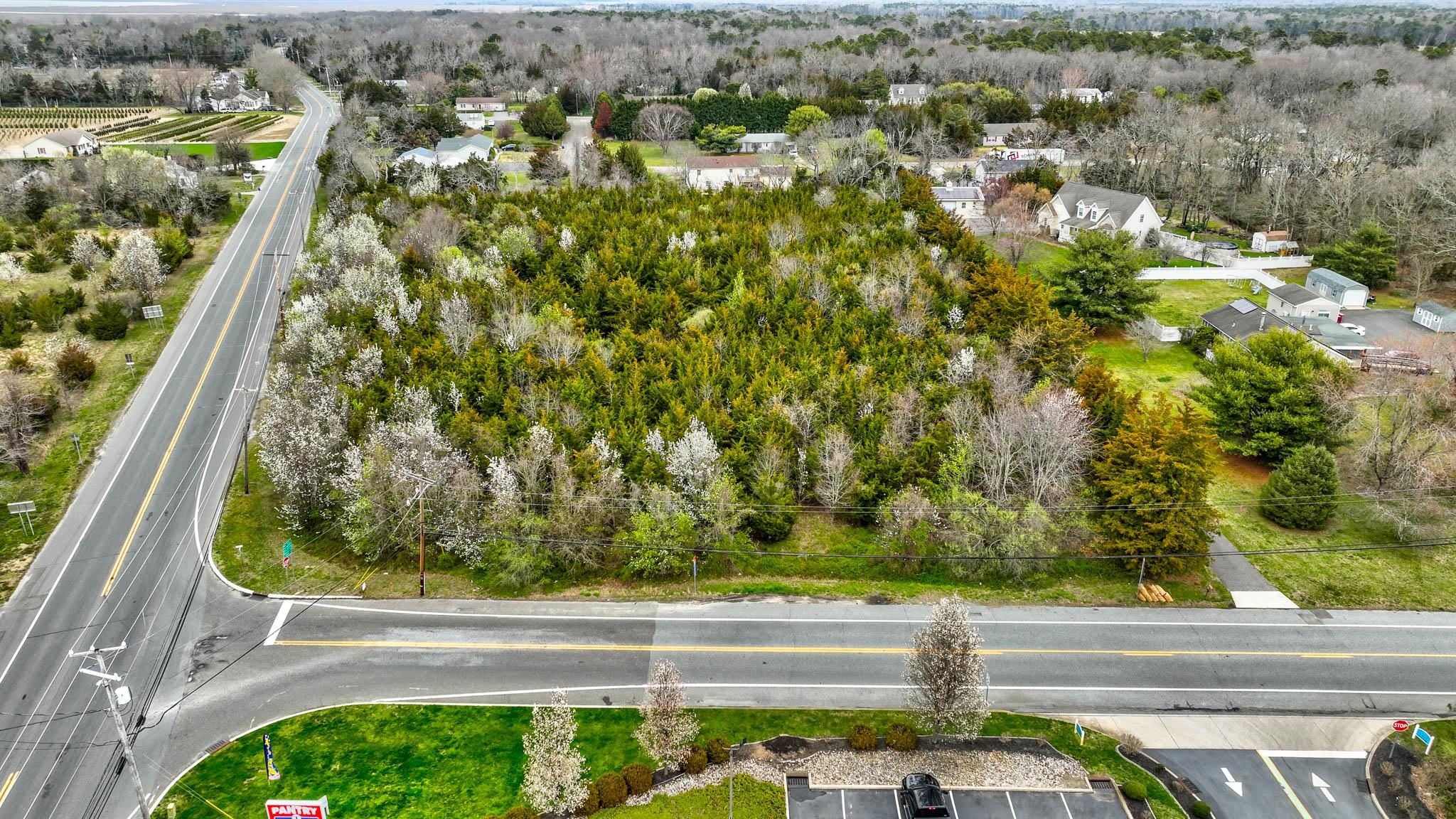 The deSatnick Real Estate Team