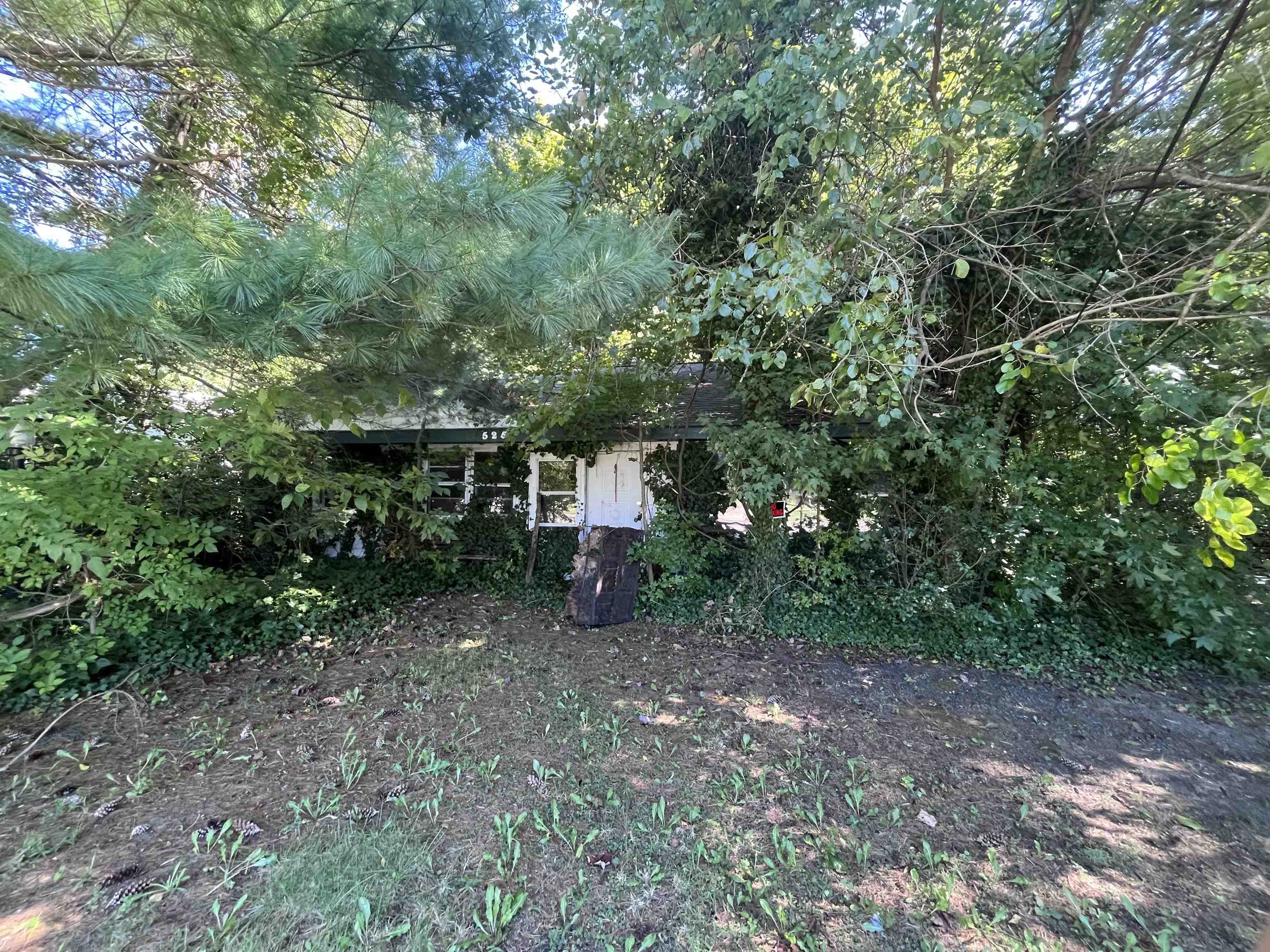 The deSatnick Real Estate Team