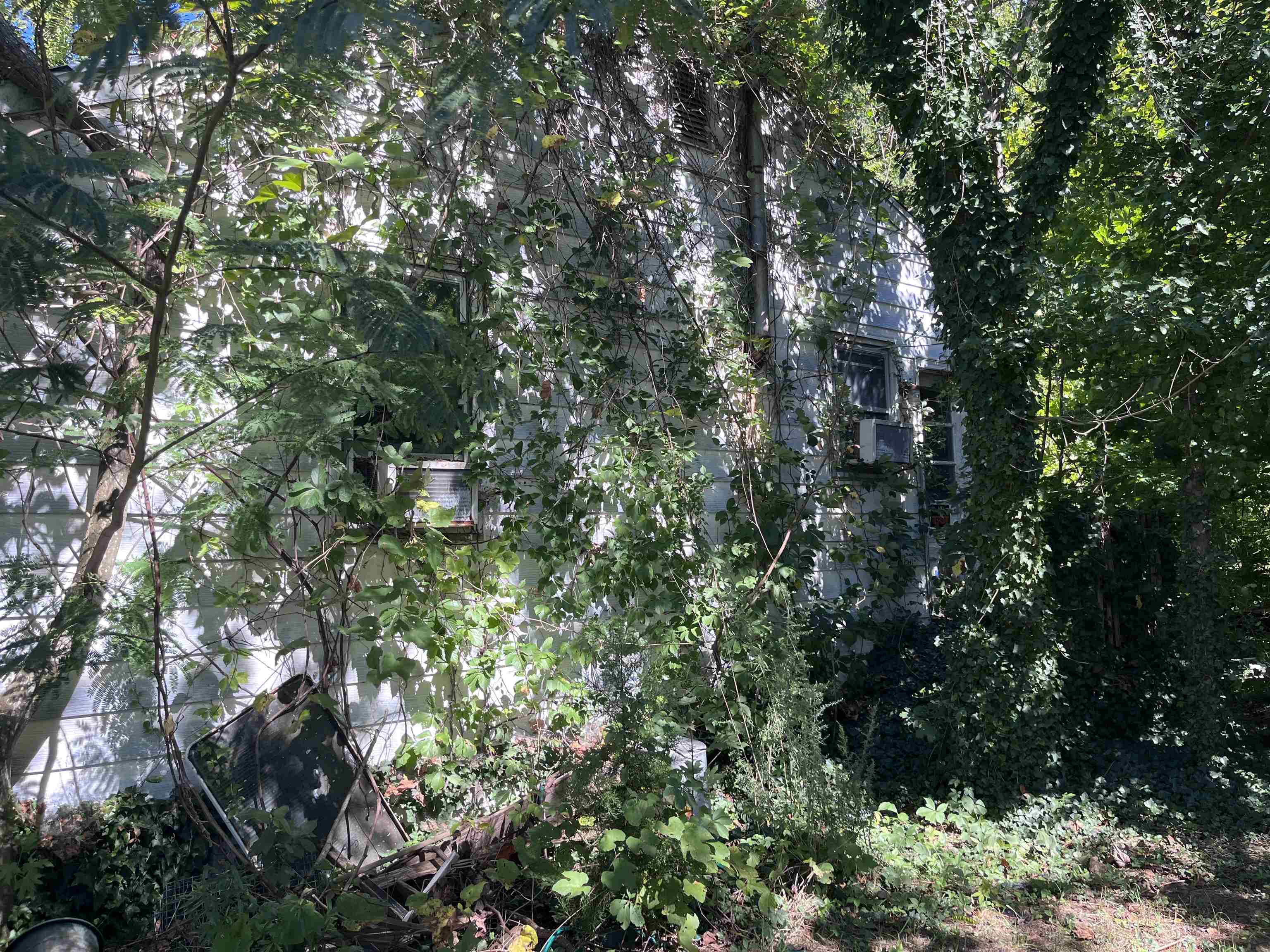 The deSatnick Real Estate Team