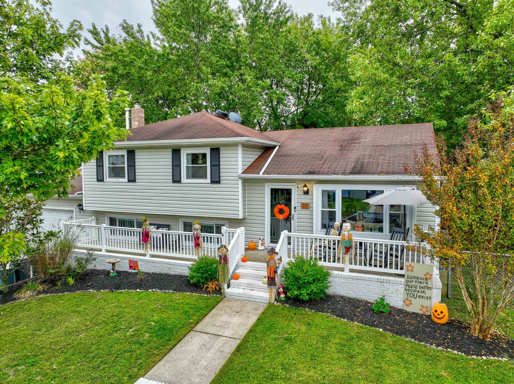 The deSatnick Real Estate Team