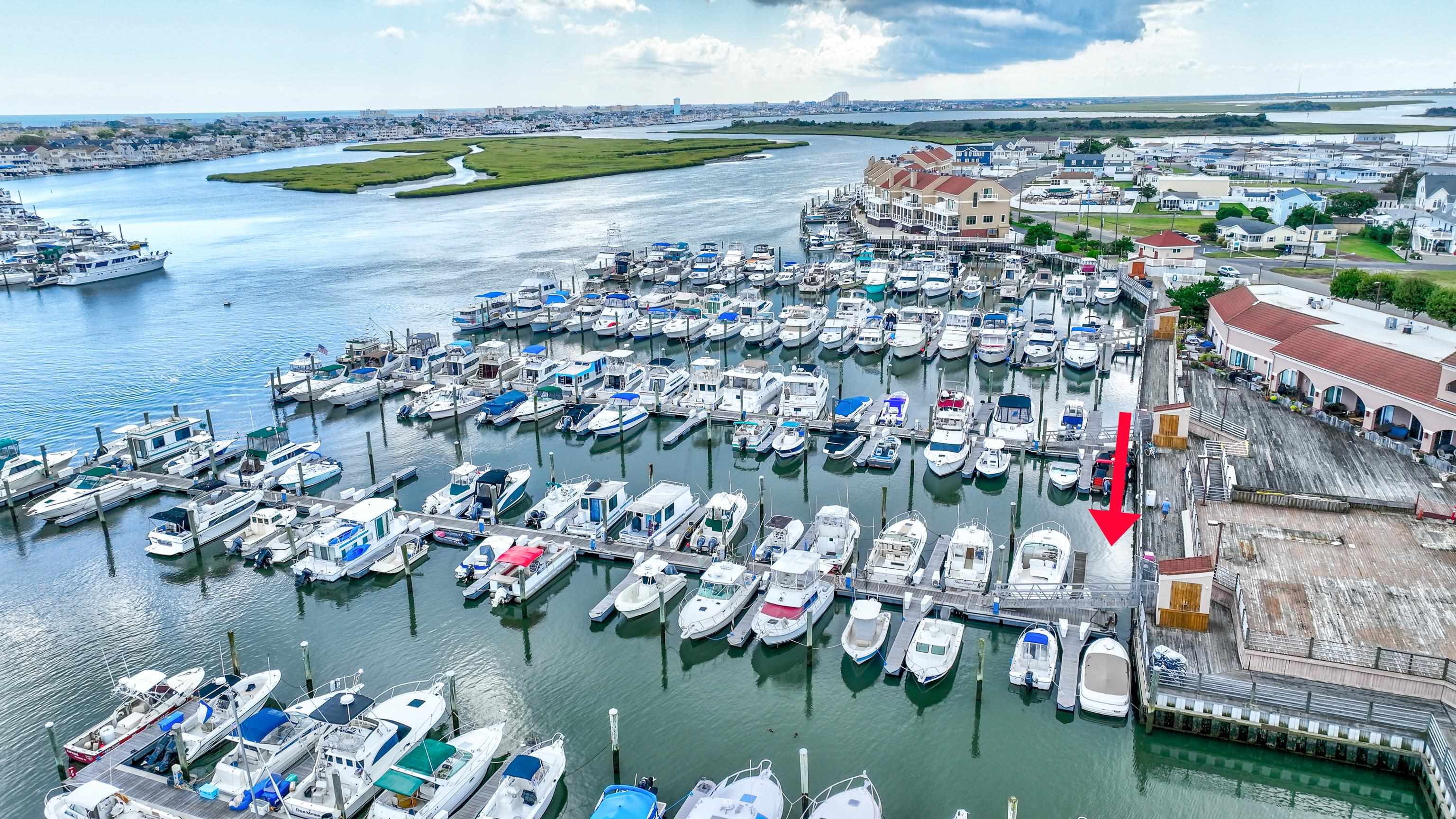 The deSatnick Real Estate Team