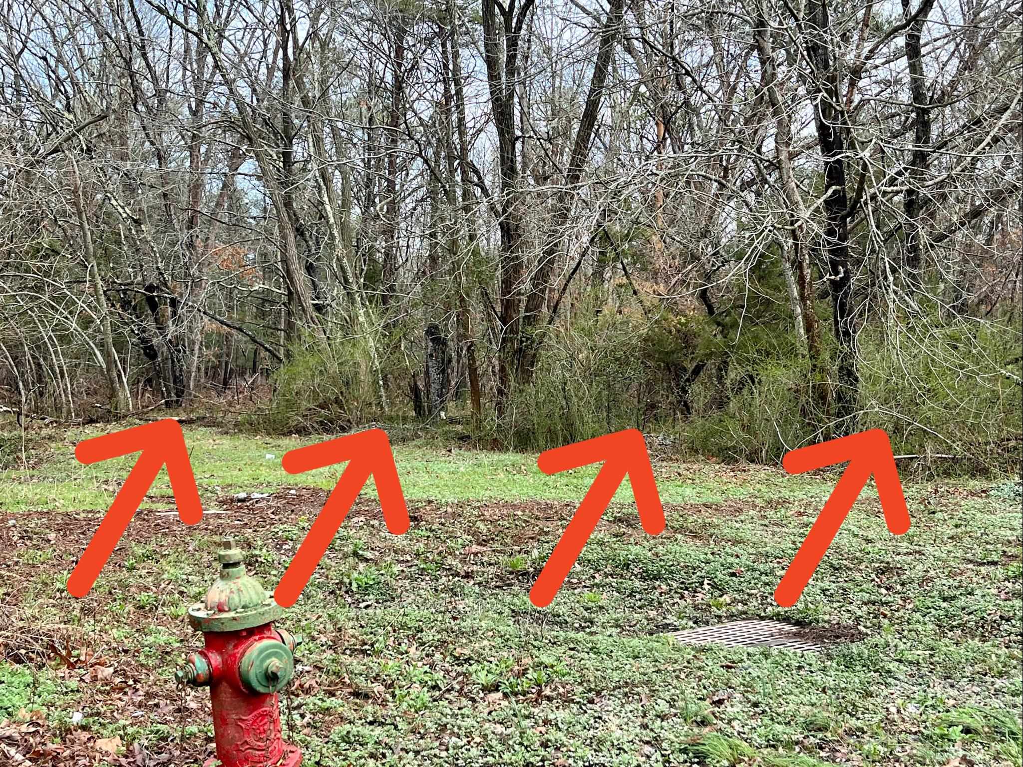 112 Franklin Street - Woodbine