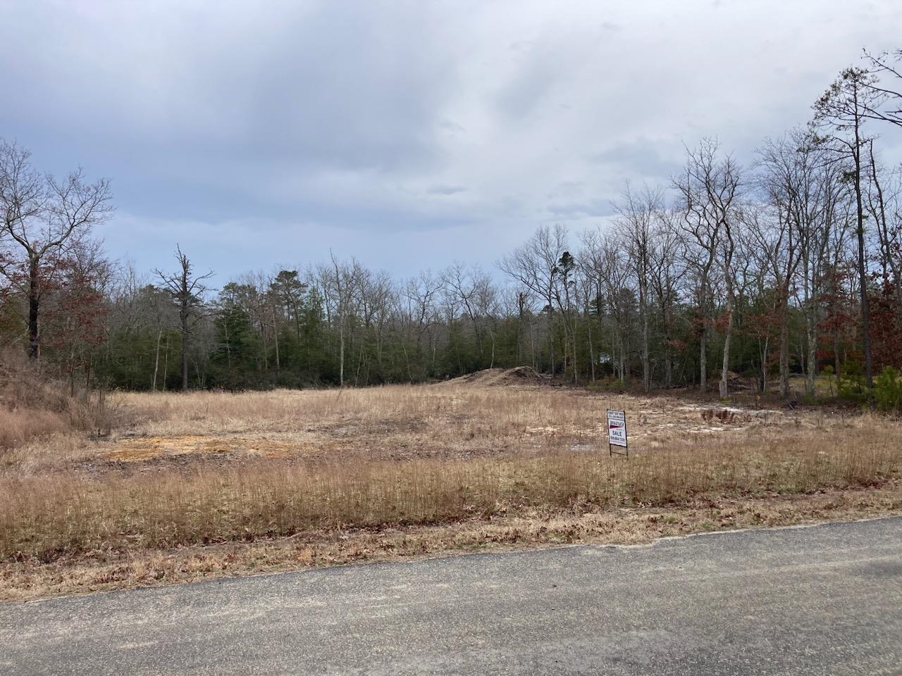 The deSatnick Real Estate Team