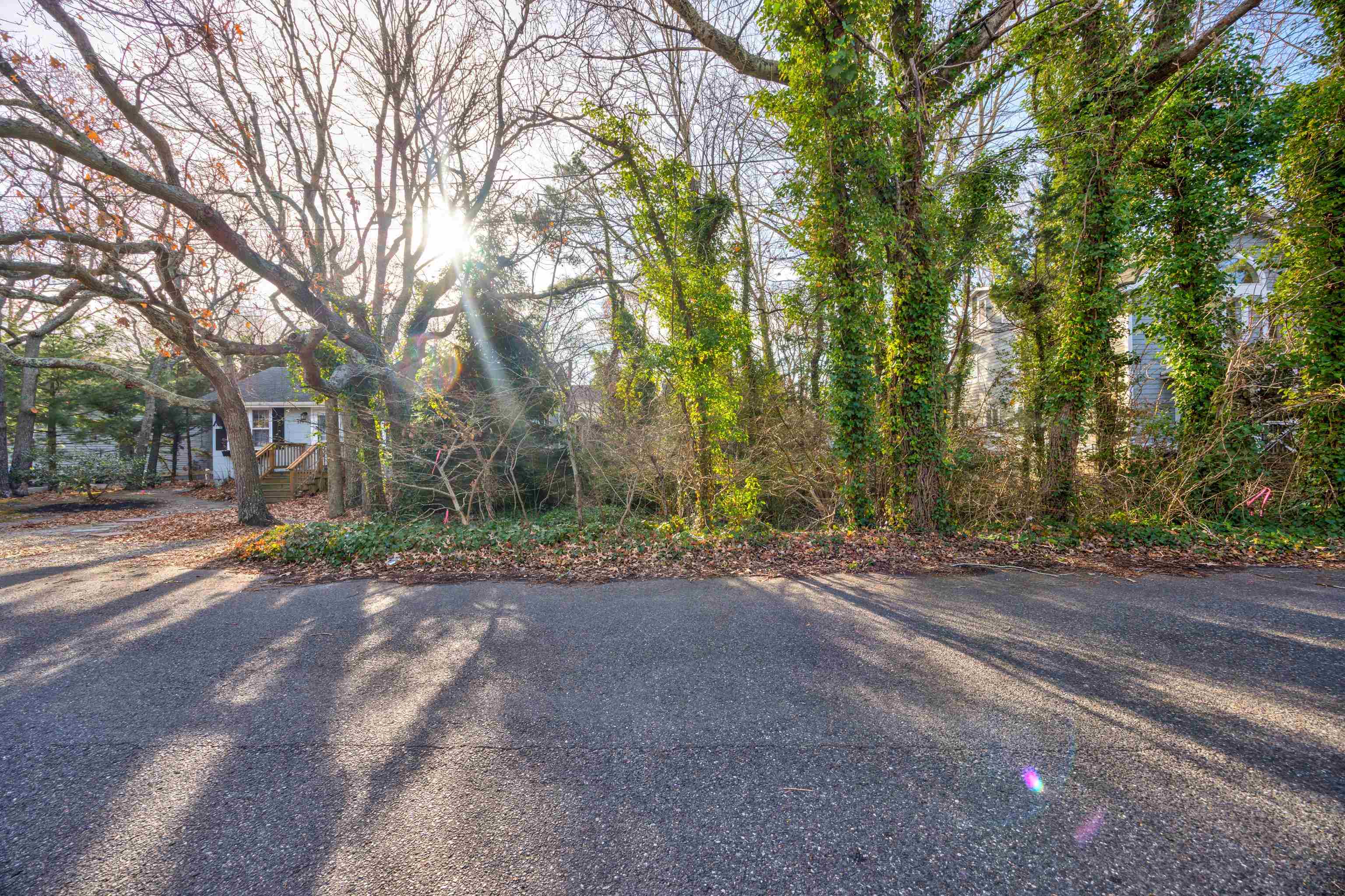 The deSatnick Real Estate Team