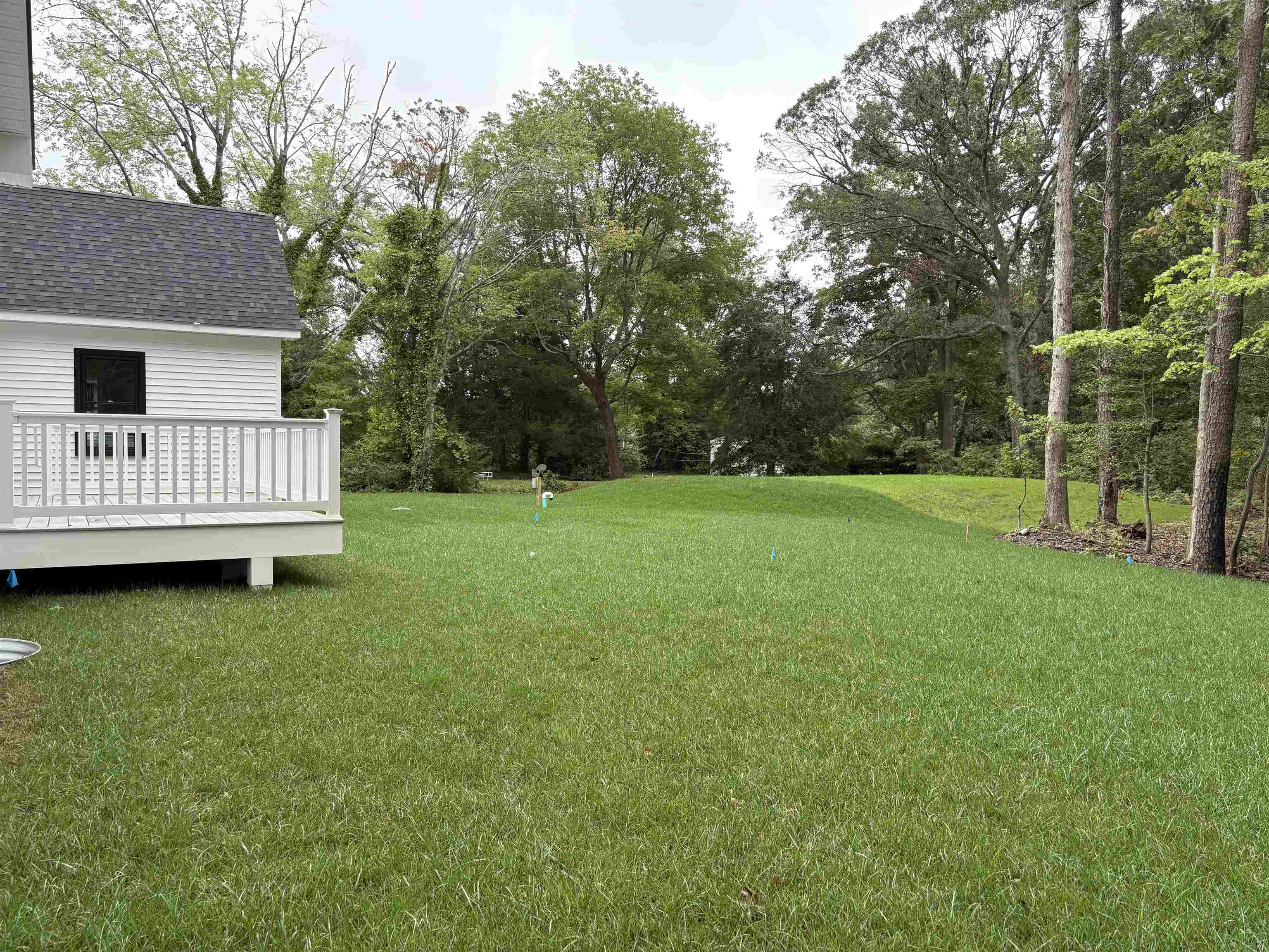 445 Dias Creek Road - Picture 2