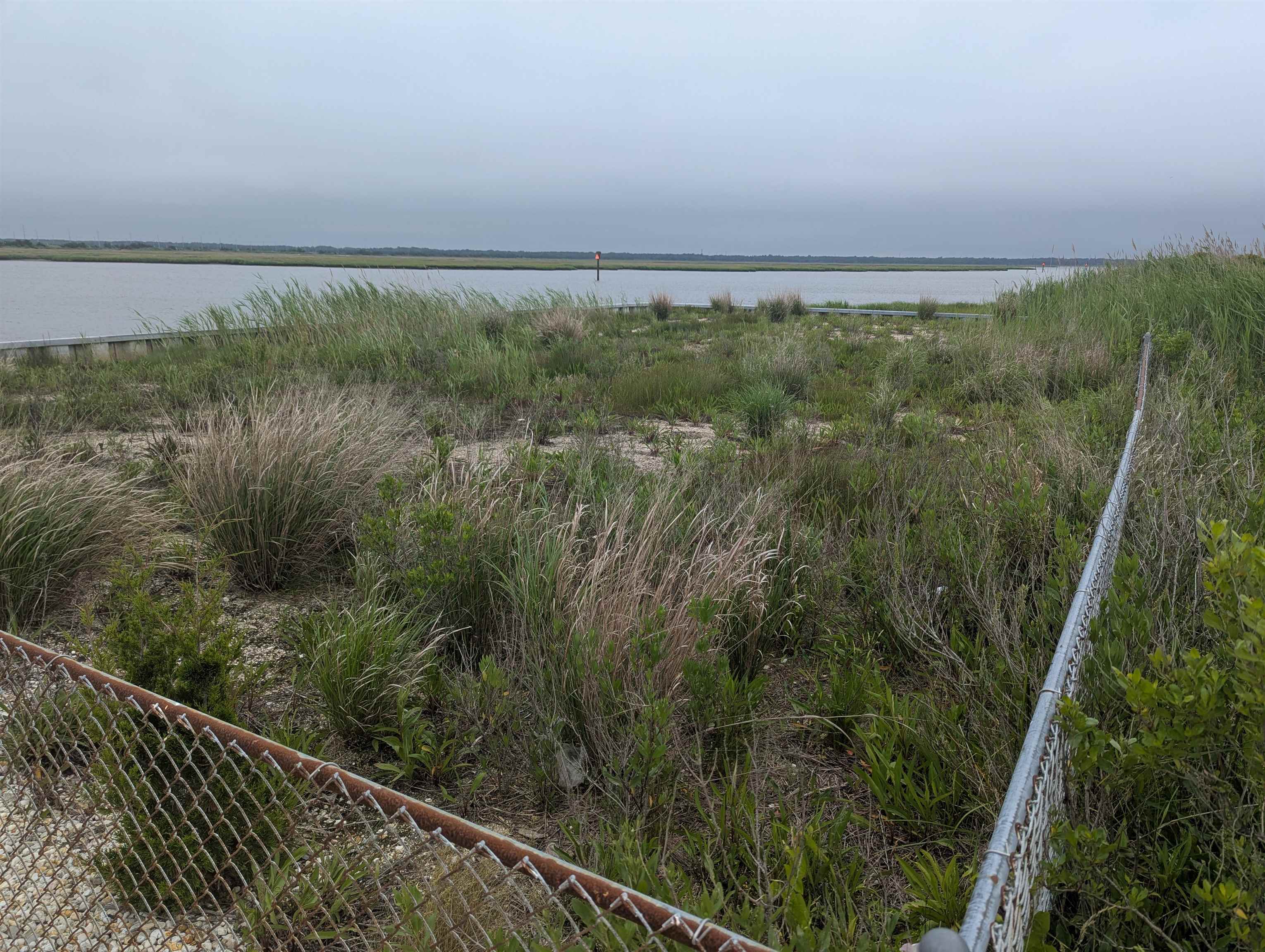 3600 Sounds Avenue - Sea Isle City