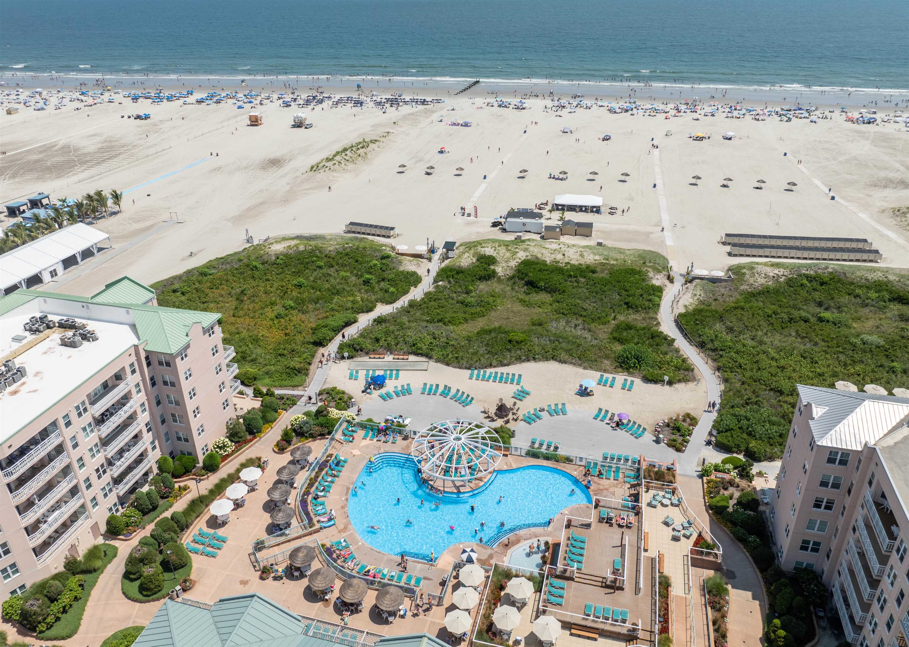 715 Turtle Gut Unit:715