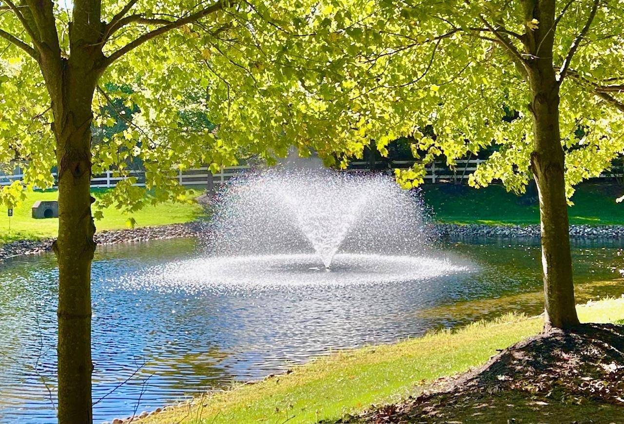 100 Osprey Drive - Picture 3