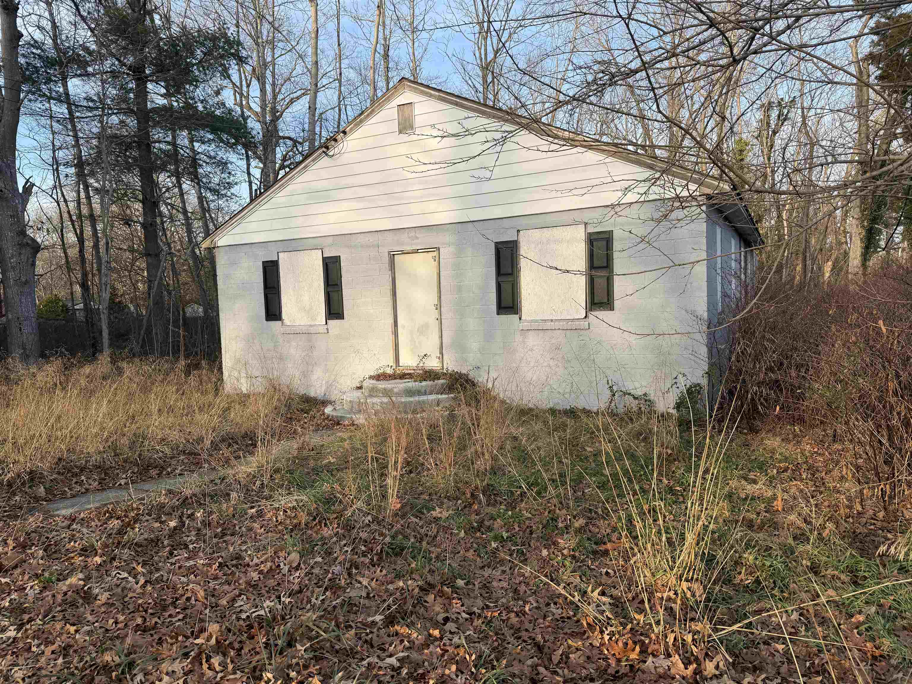 208 Webster Street - Woodbine