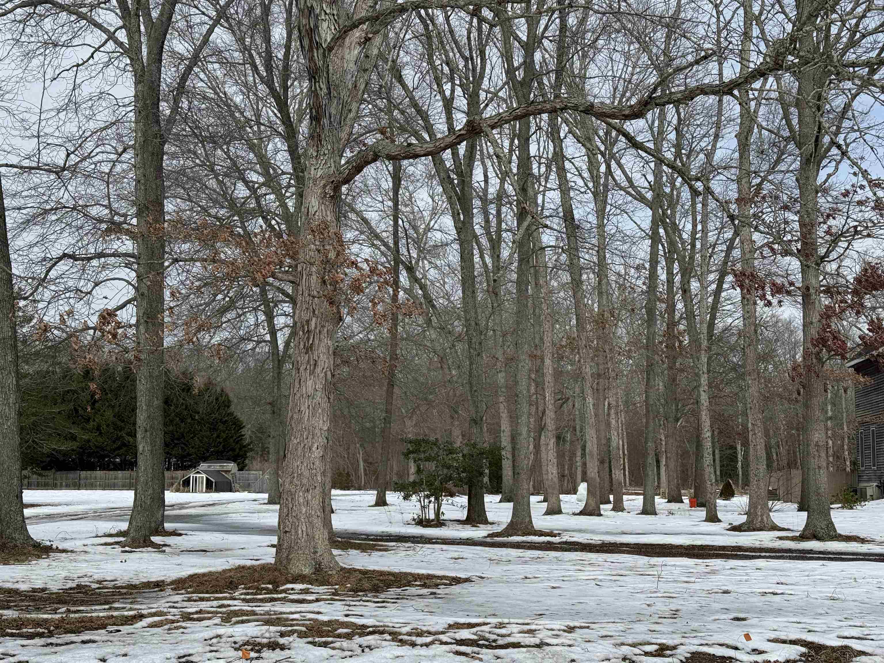 418 B Hand Avenue - Picture 3