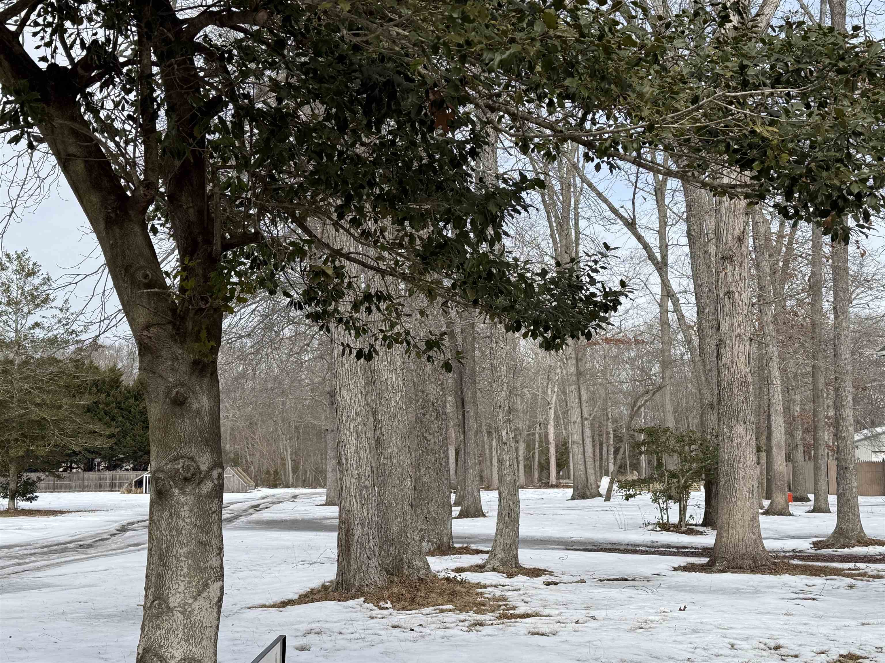 418 B Hand Avenue - Picture 4